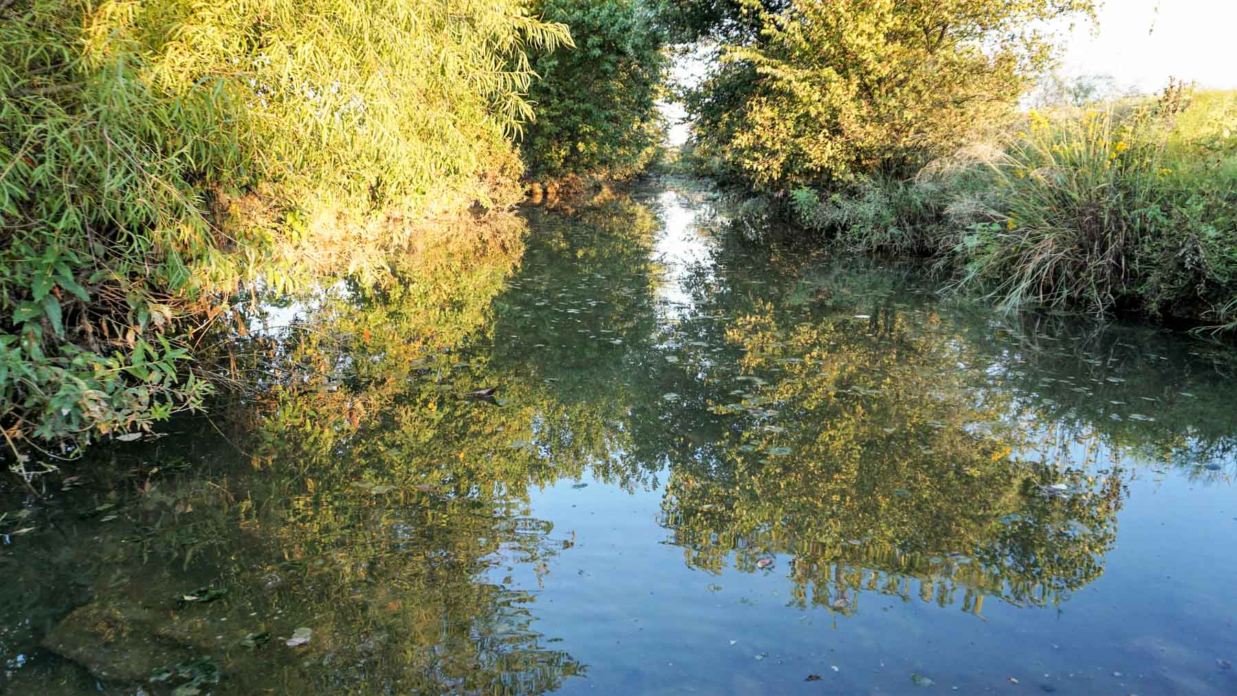 Stewart Ranch property picture 26 of 77