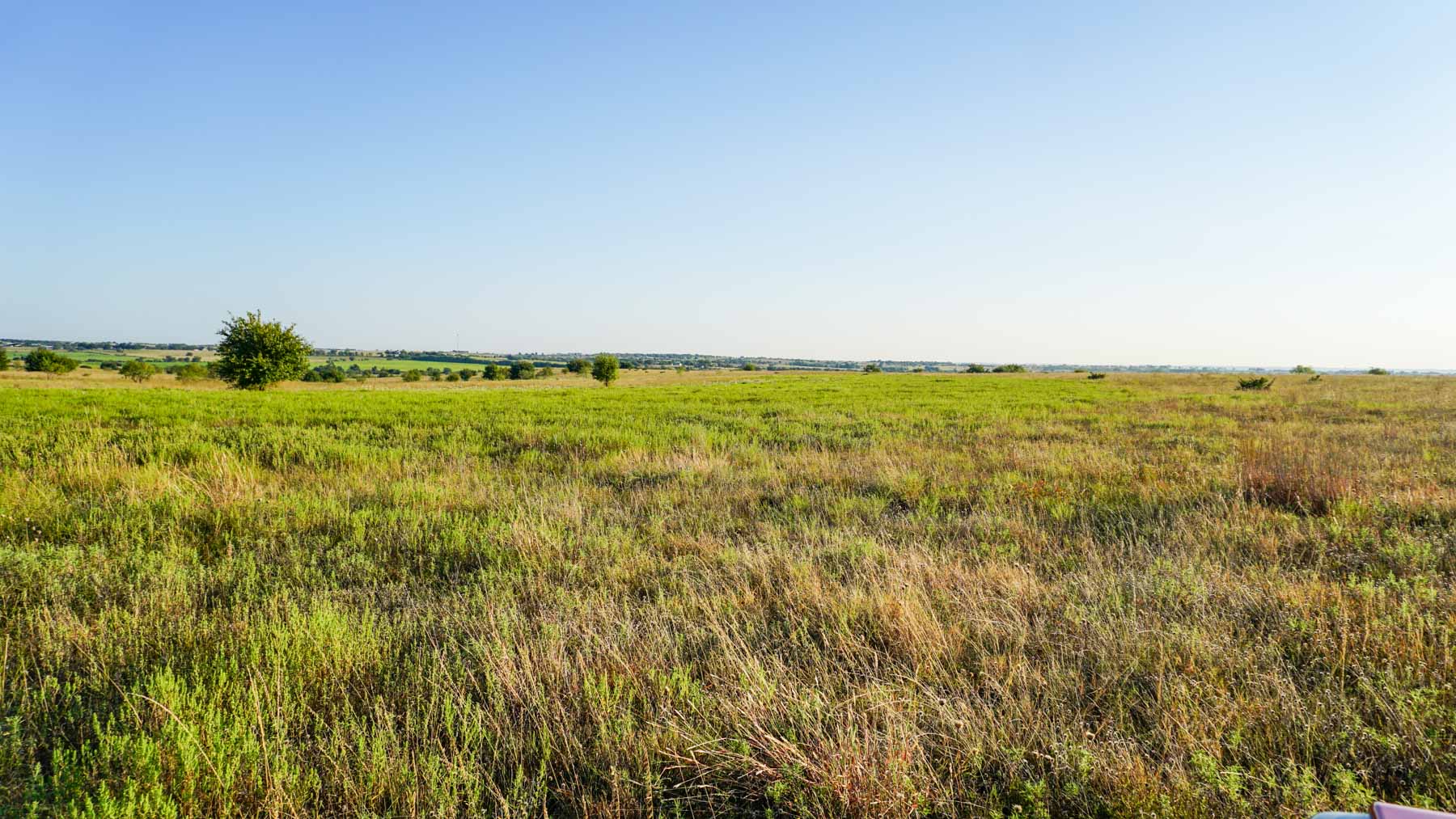 Stewart Ranch property picture 34 of 77