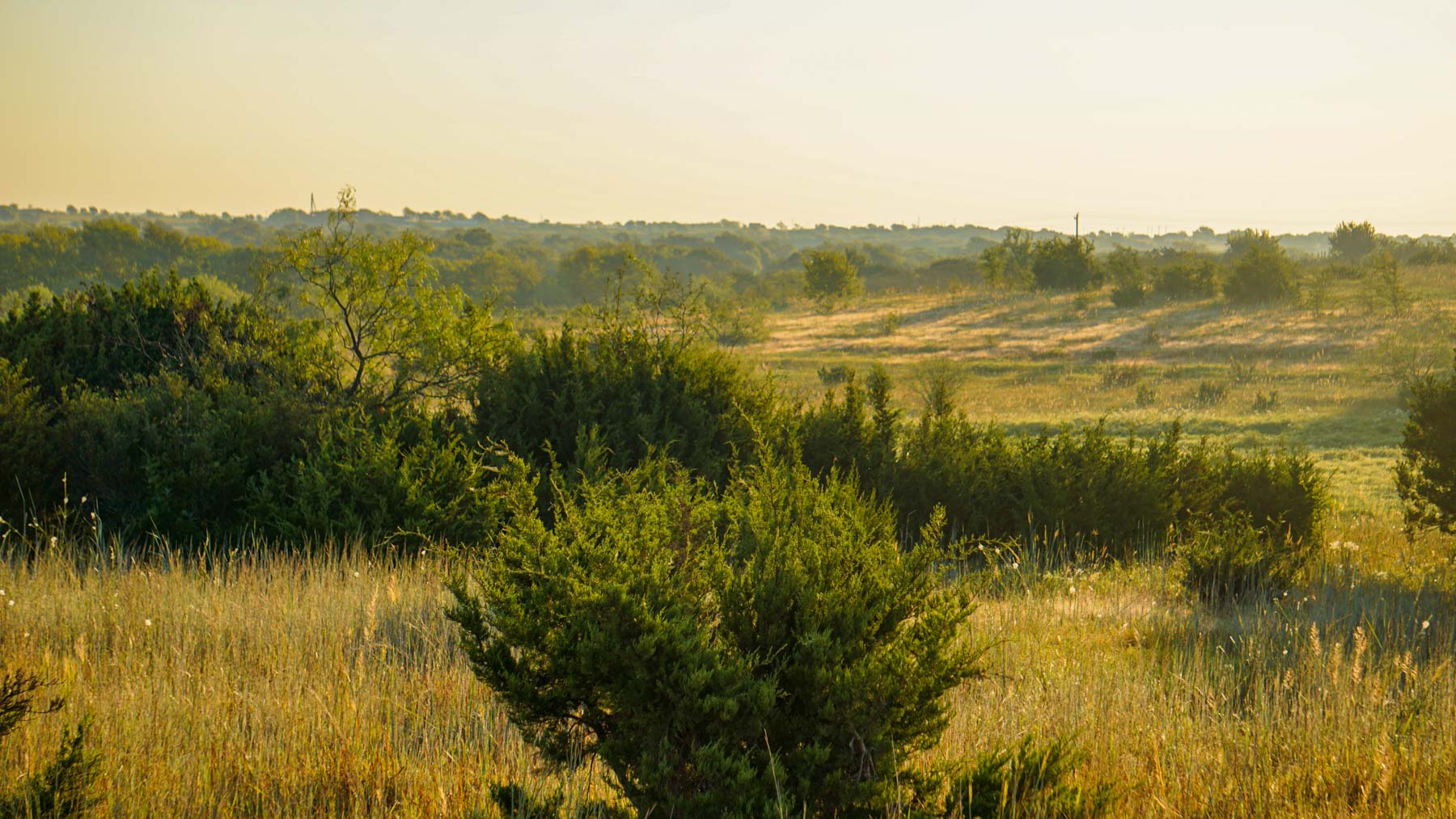 Stewart Ranch property picture 33 of 77