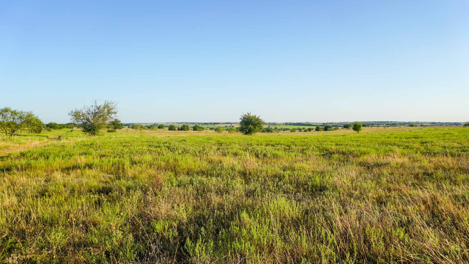 Stewart Ranch property picture 31 of 77