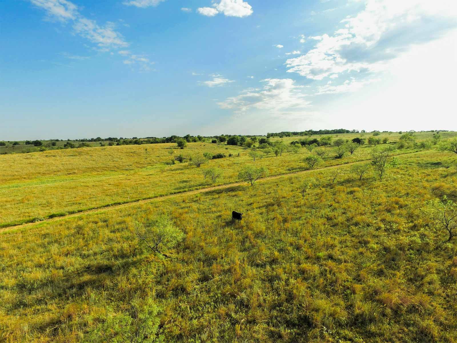 Stewart Ranch property picture 57 of 77