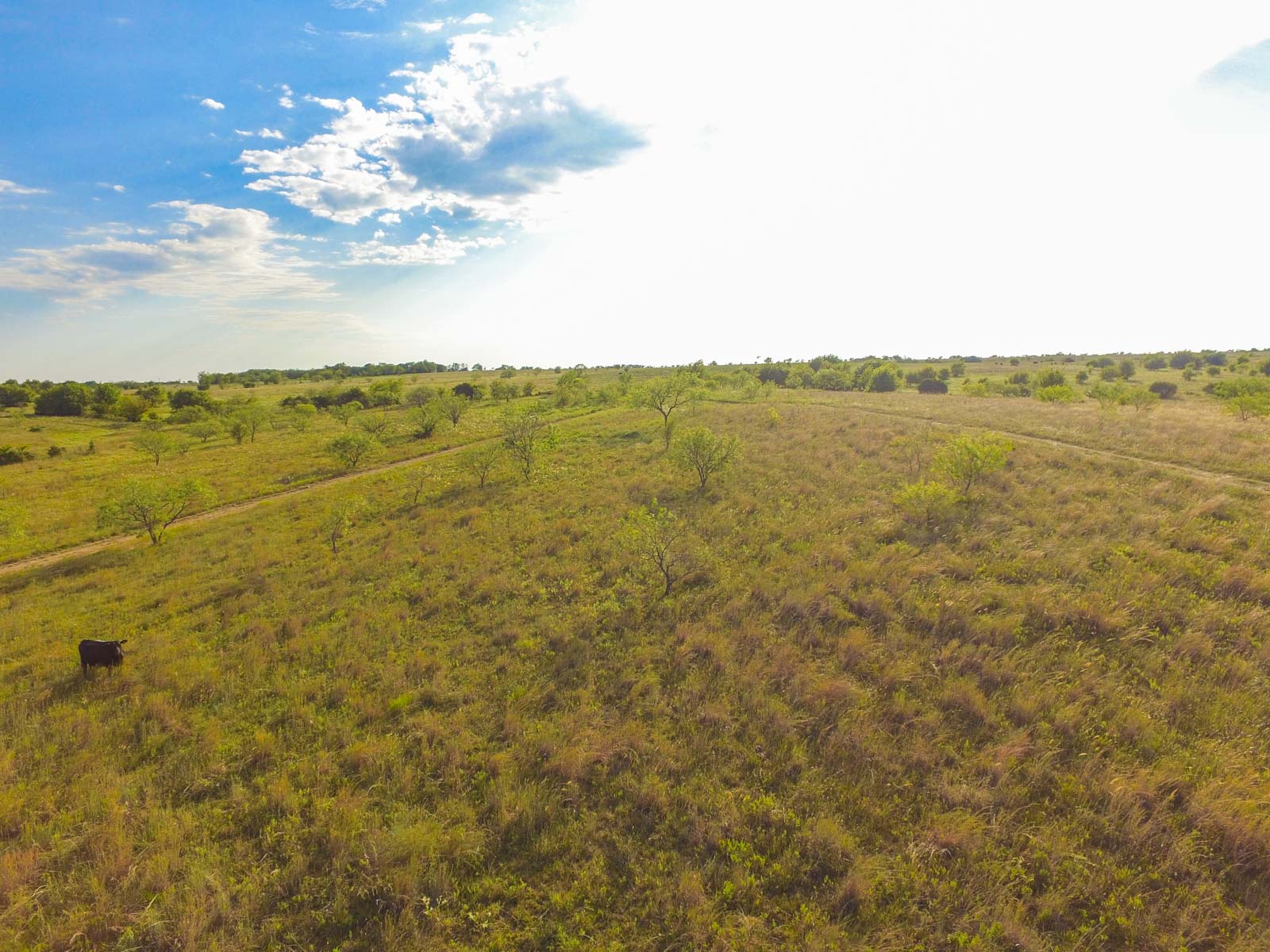 Stewart Ranch property picture 59 of 77