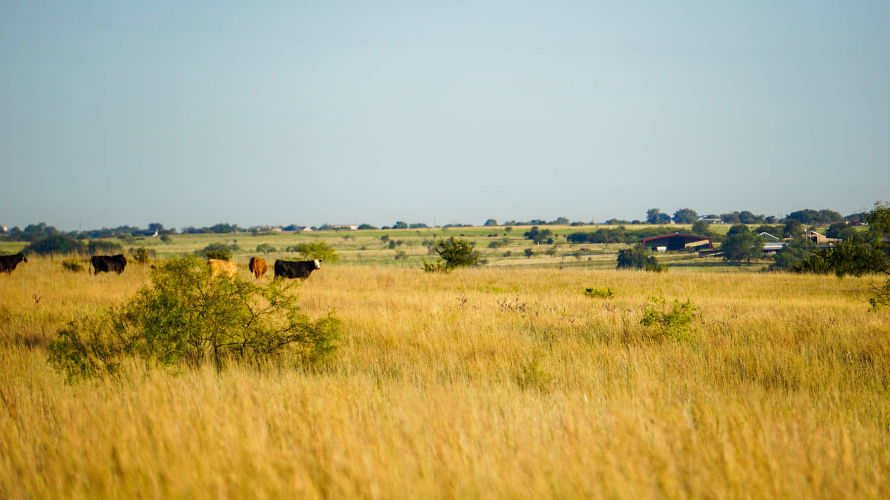 Stewart Ranch property picture 6 of 77