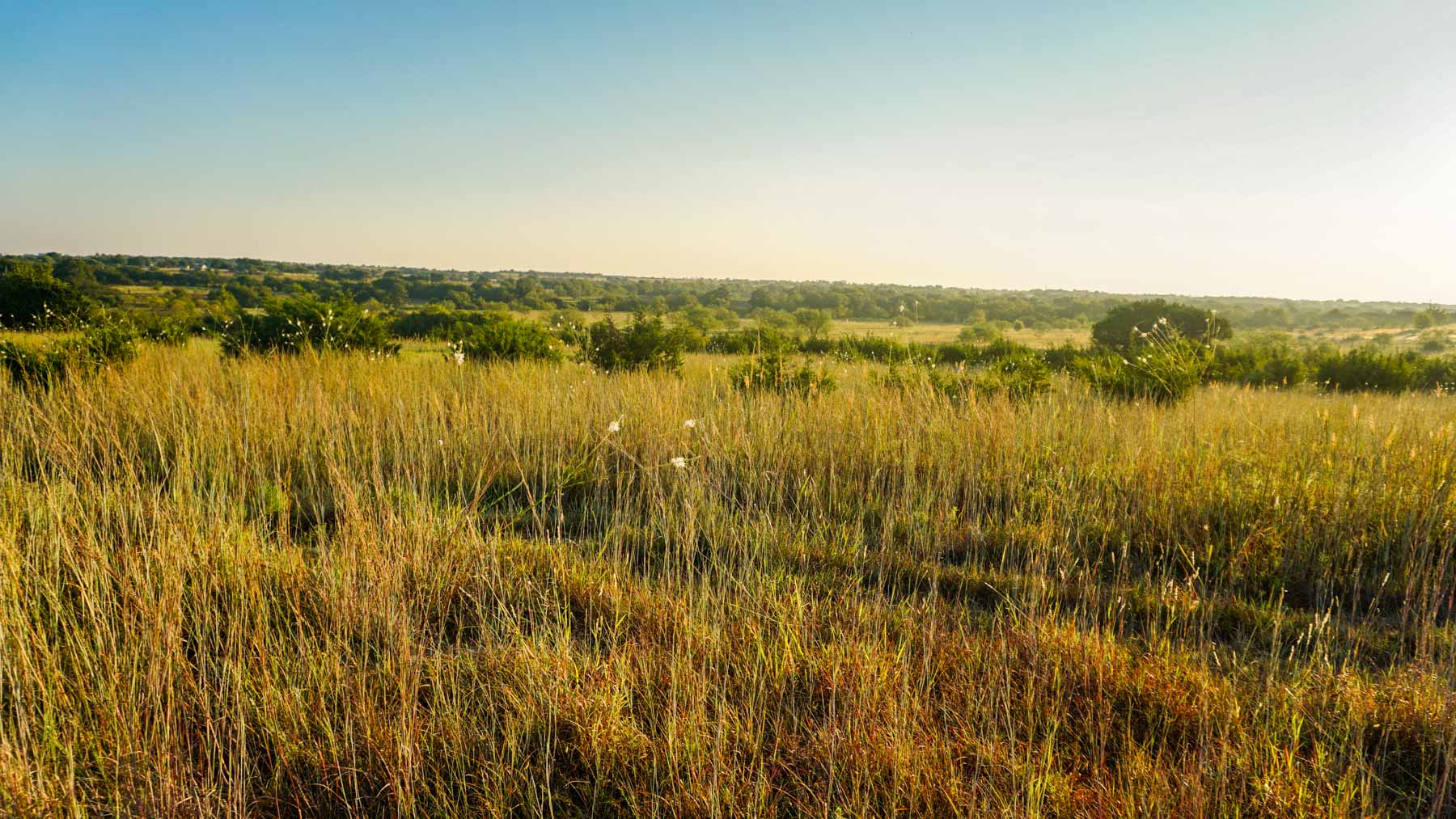 Stewart Ranch property picture 10 of 77