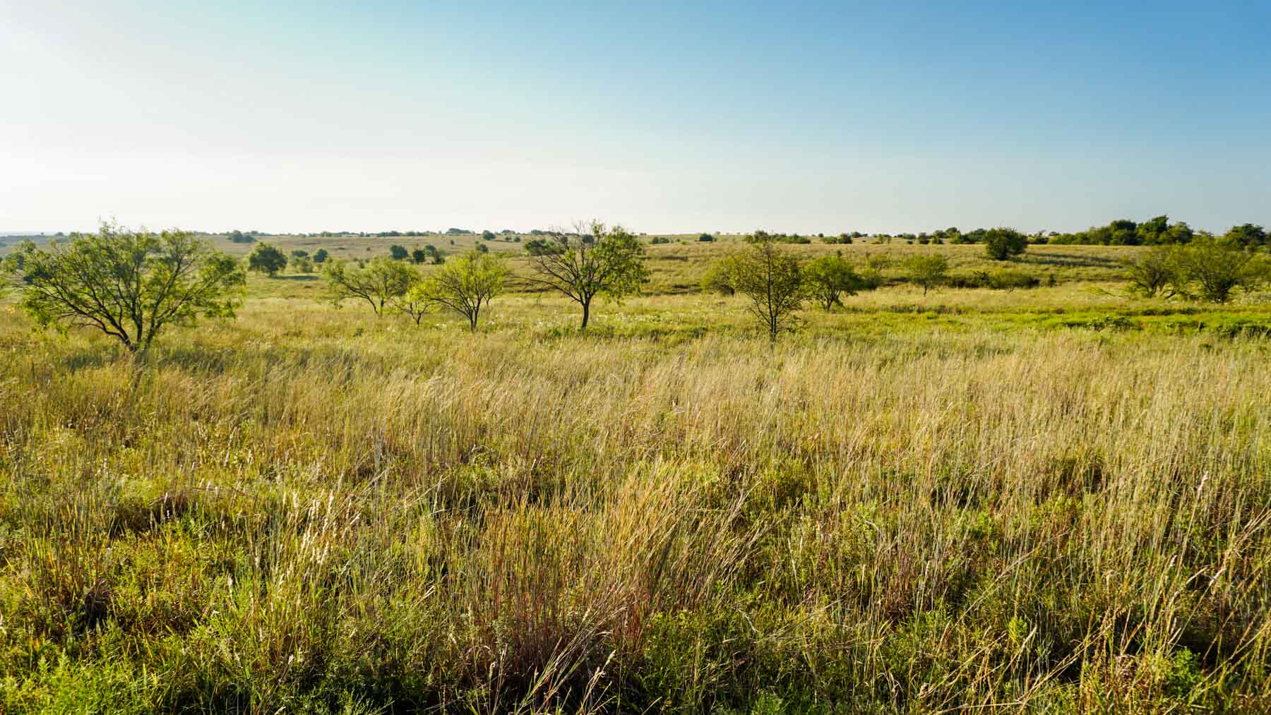 Stewart Ranch property picture 48 of 77