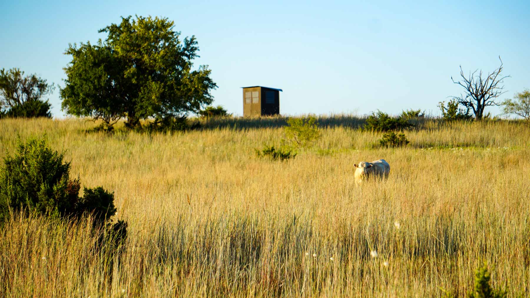 Stewart Ranch property picture 24 of 77