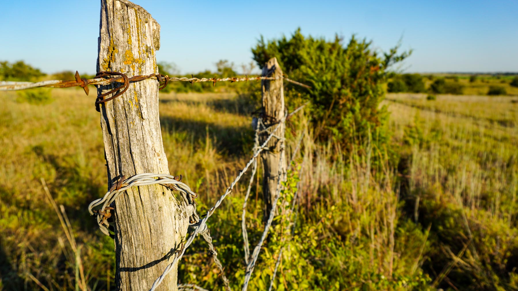 Stewart Ranch property picture 39 of 77