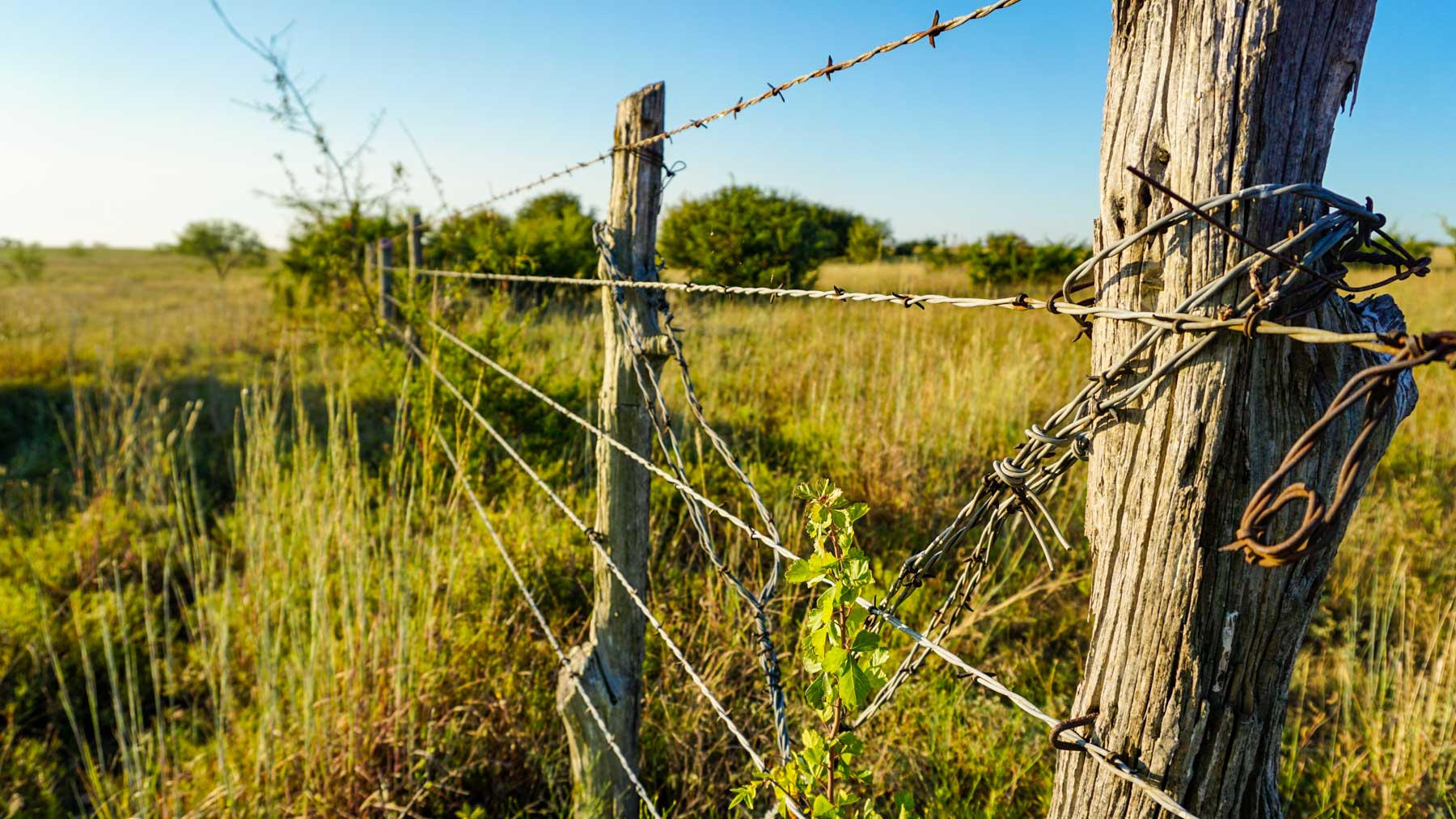 Stewart Ranch property picture 25 of 77