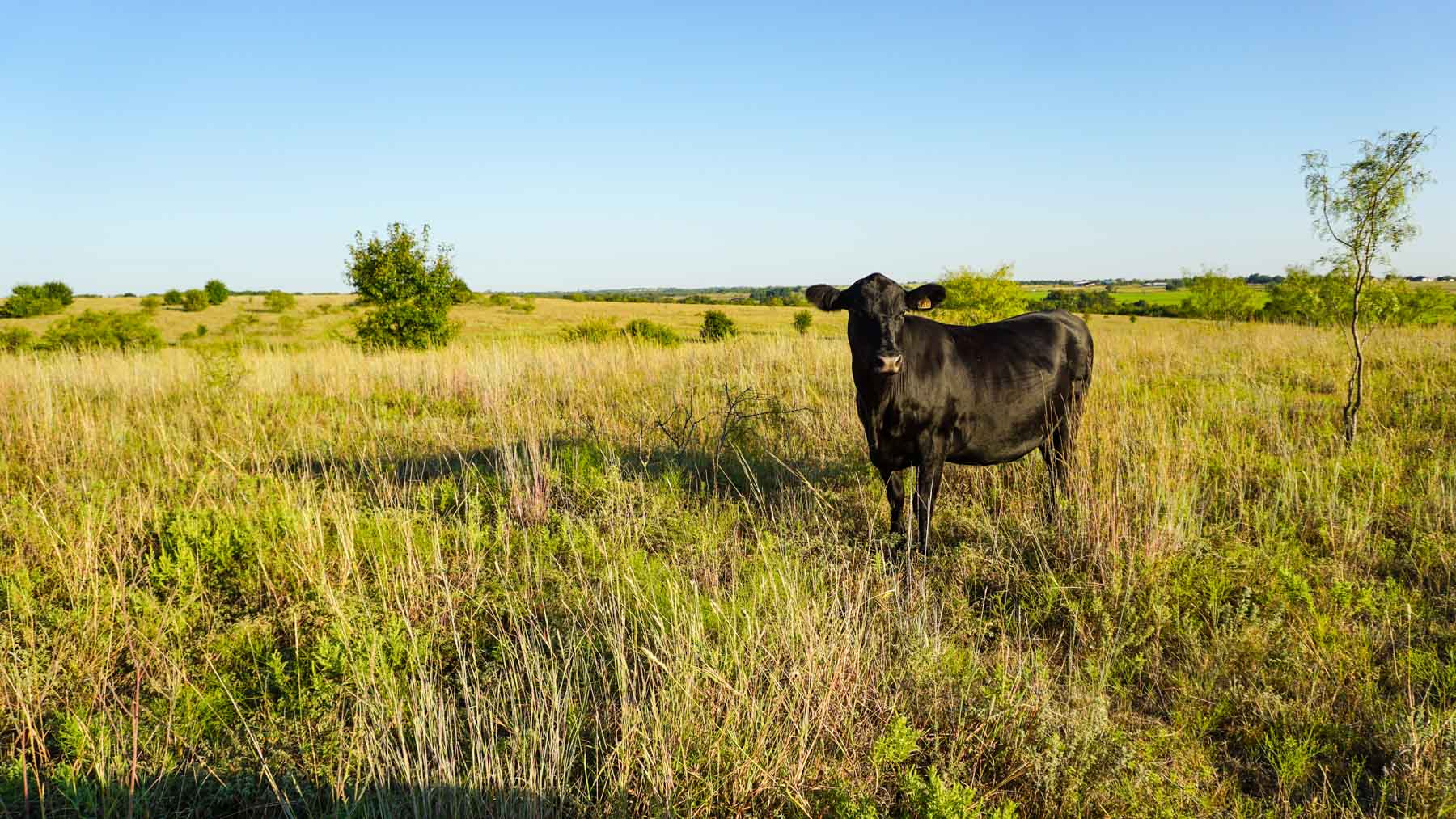 Stewart Ranch property picture 2 of 77