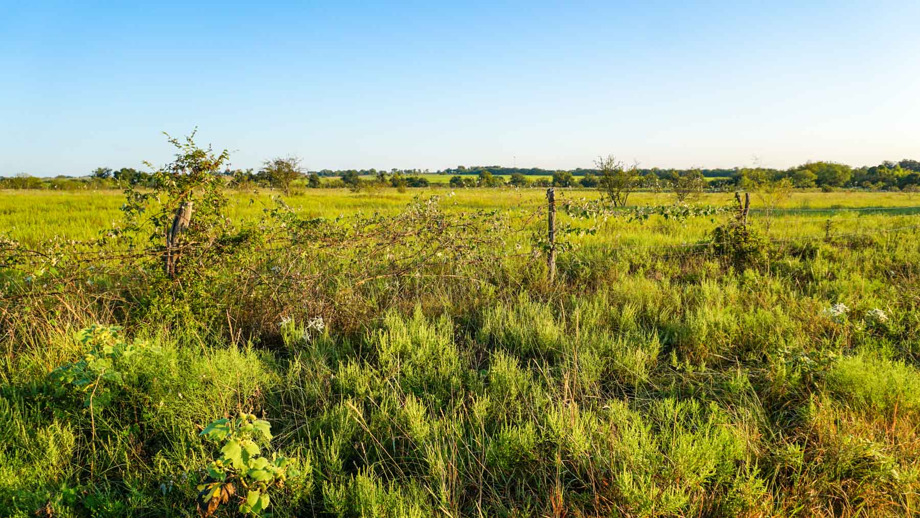 Stewart Ranch property picture 11 of 77