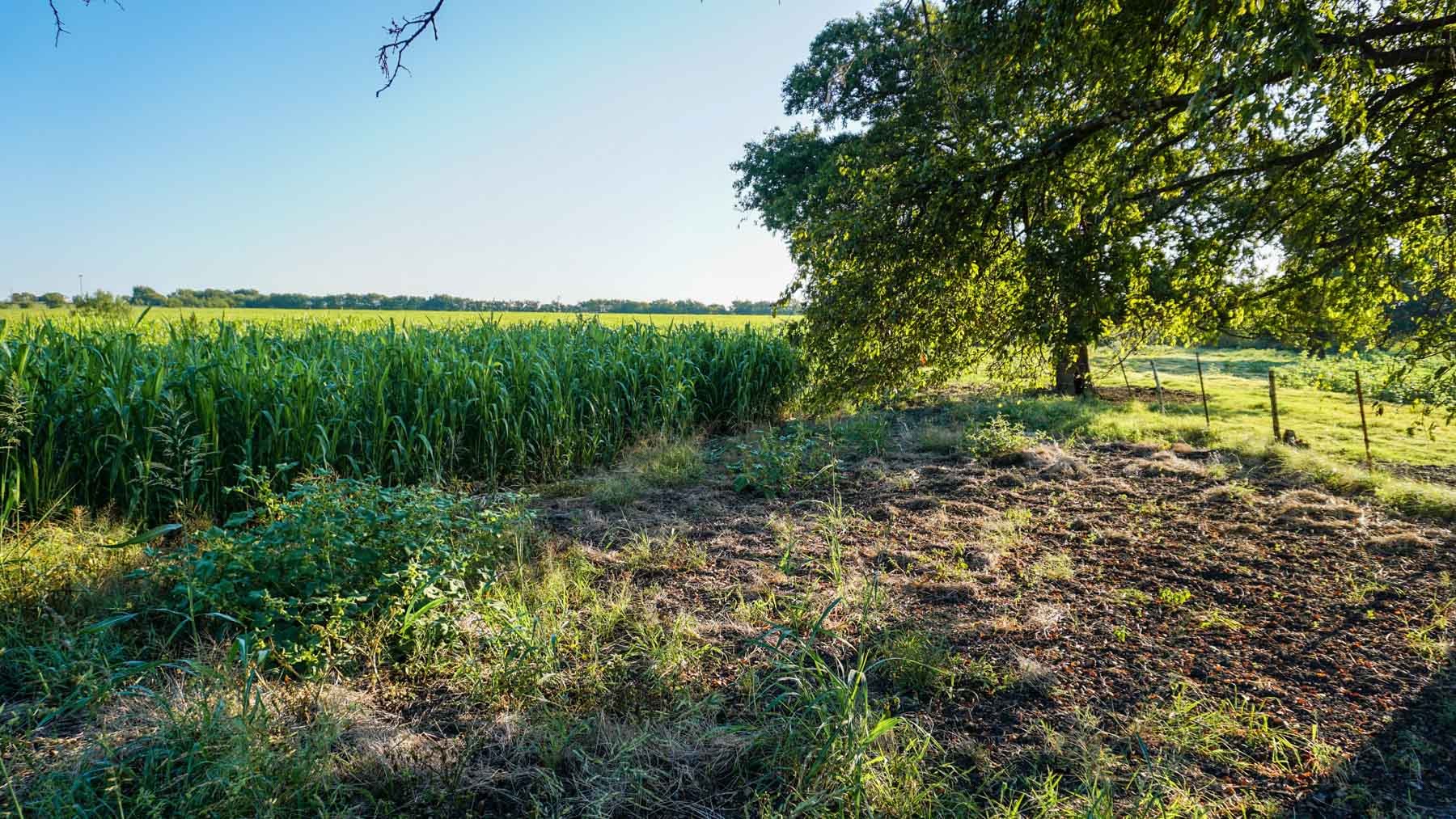 Stewart Ranch property picture 44 of 77