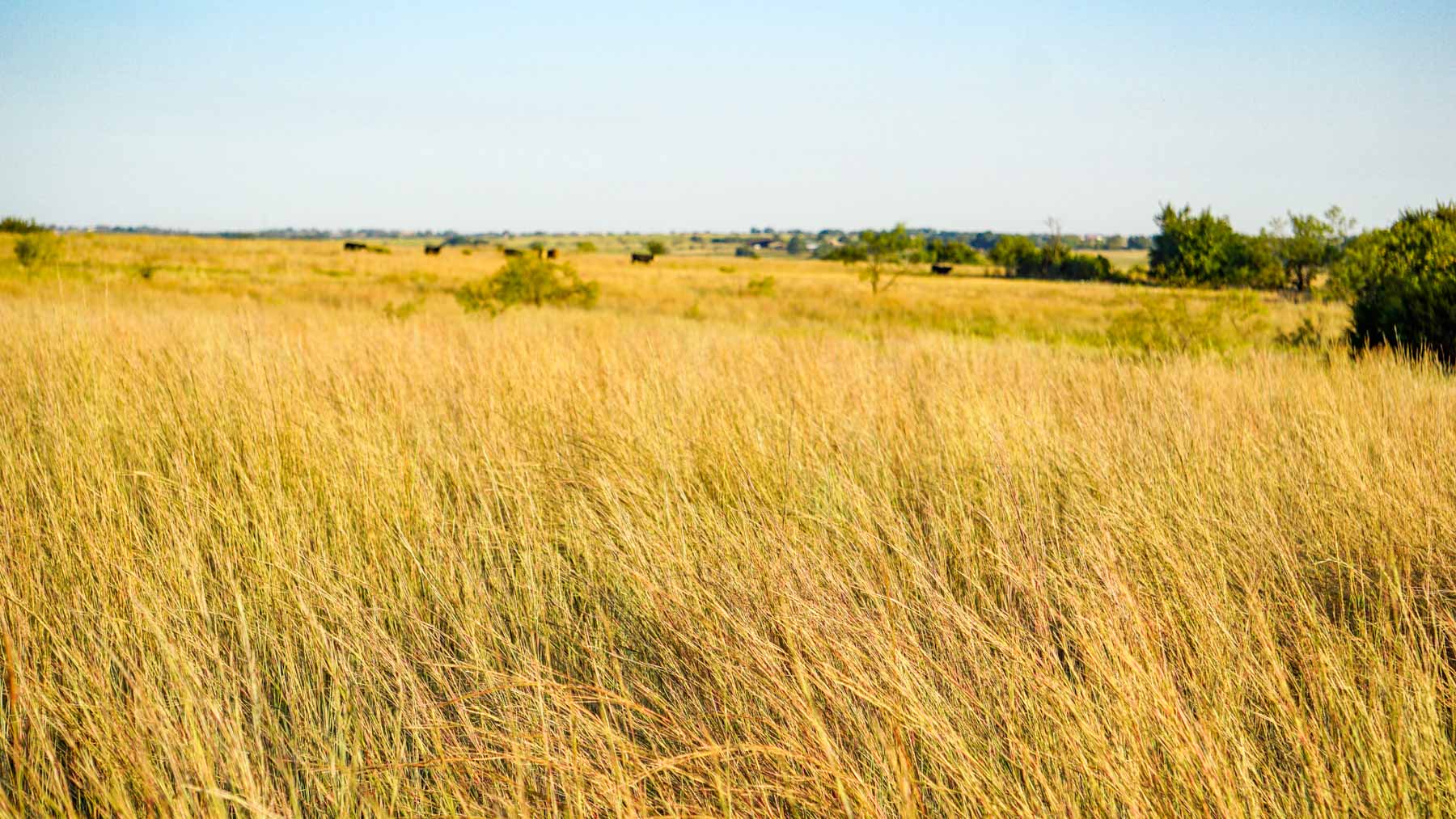 Stewart Ranch property picture 36 of 77