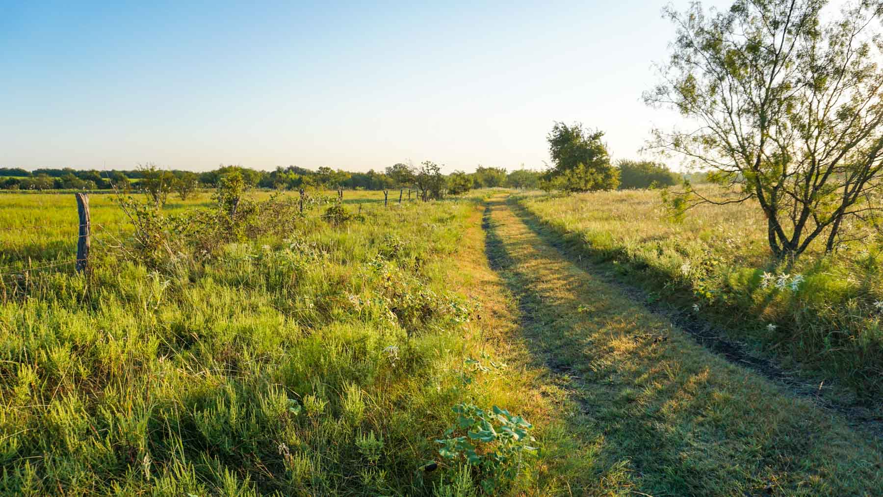 Stewart Ranch property picture 3 of 77
