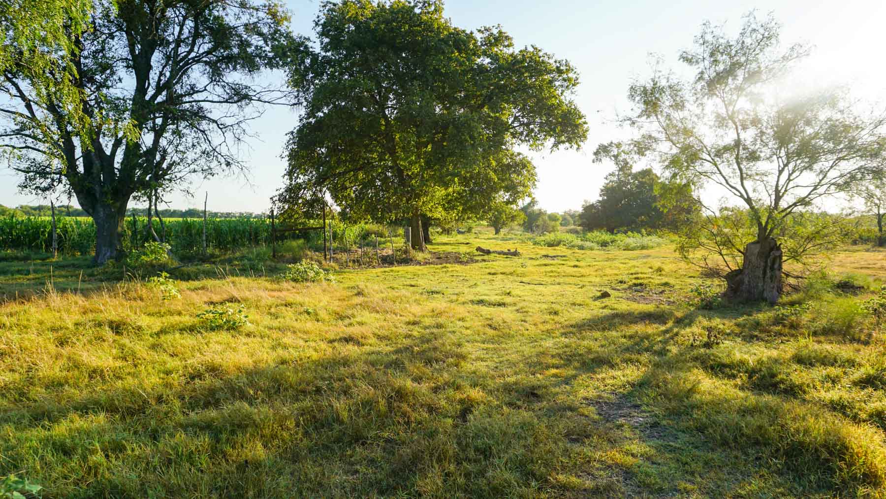 Stewart Ranch property picture 49 of 77
