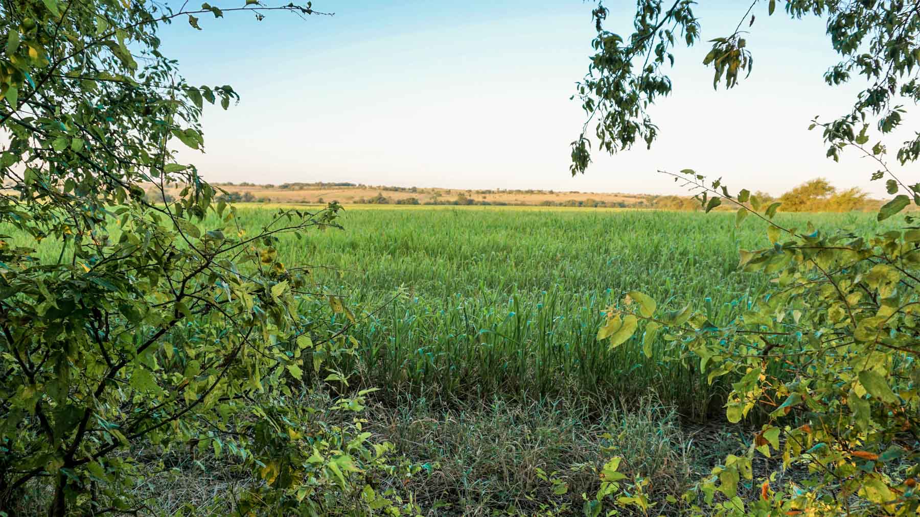 Stewart Ranch property picture 22 of 77