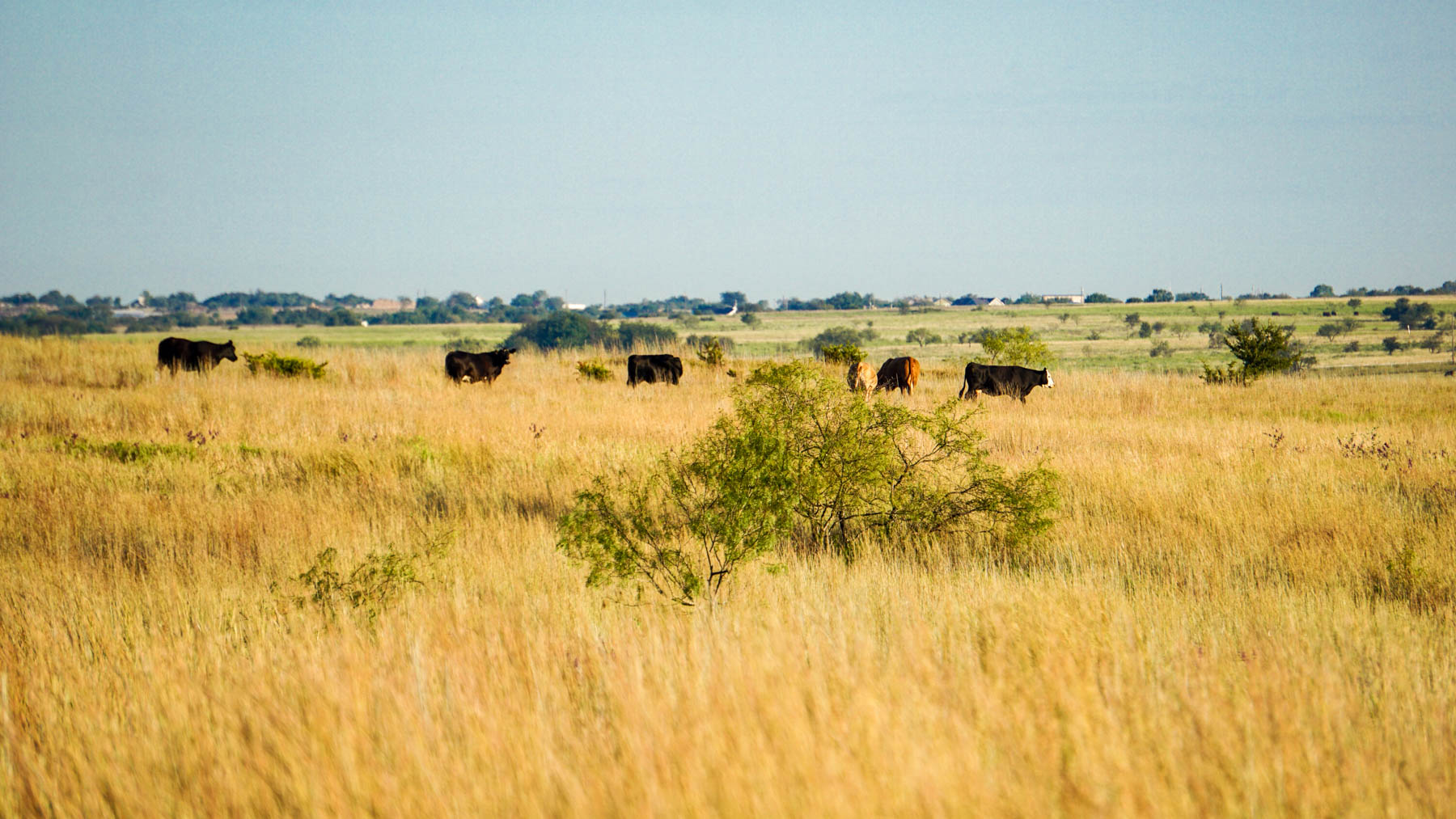 Stewart Ranch property picture 32 of 77