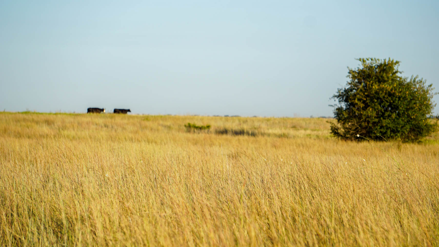 Stewart Ranch property picture 38 of 77