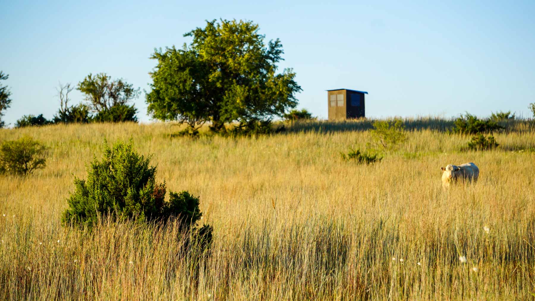 Stewart Ranch property picture 14 of 77