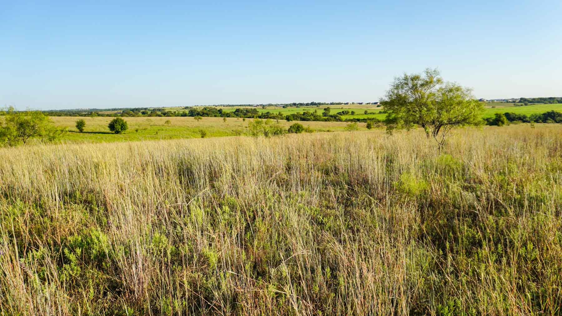 Stewart Ranch property picture 43 of 77