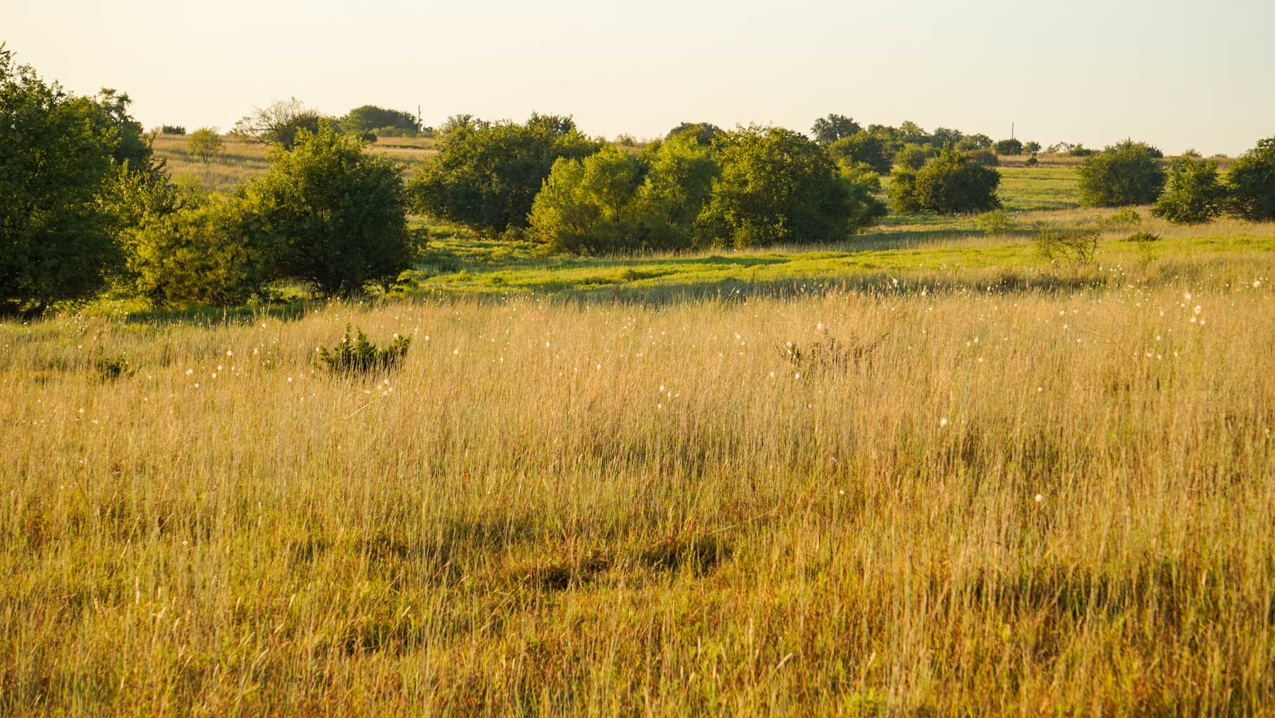 Stewart Ranch property picture 21 of 77