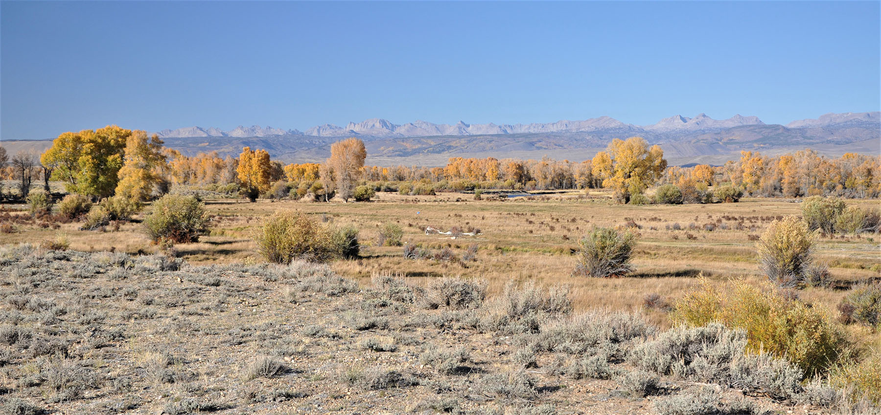 Lazy River Ranch property picture 56 of 80