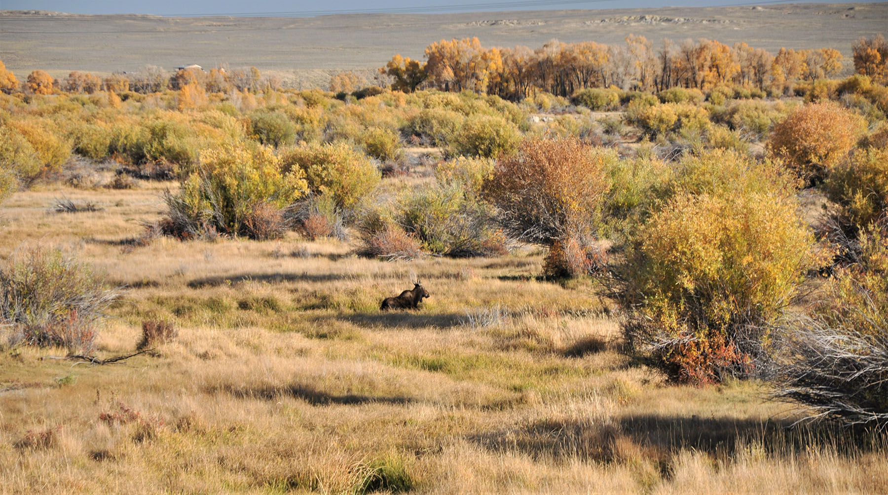 Lazy River Ranch property picture 46 of 80