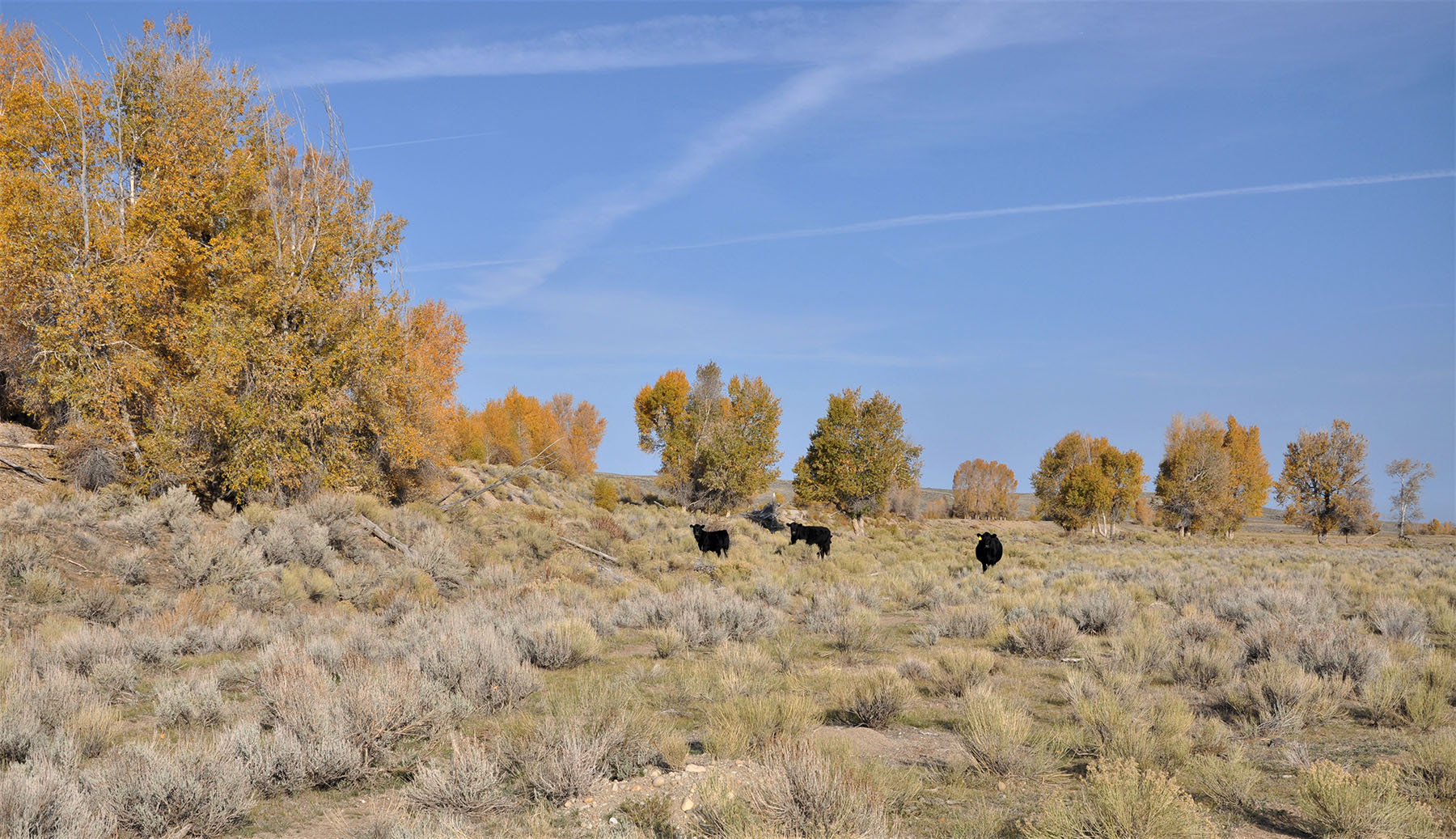Lazy River Ranch property picture 16 of 80