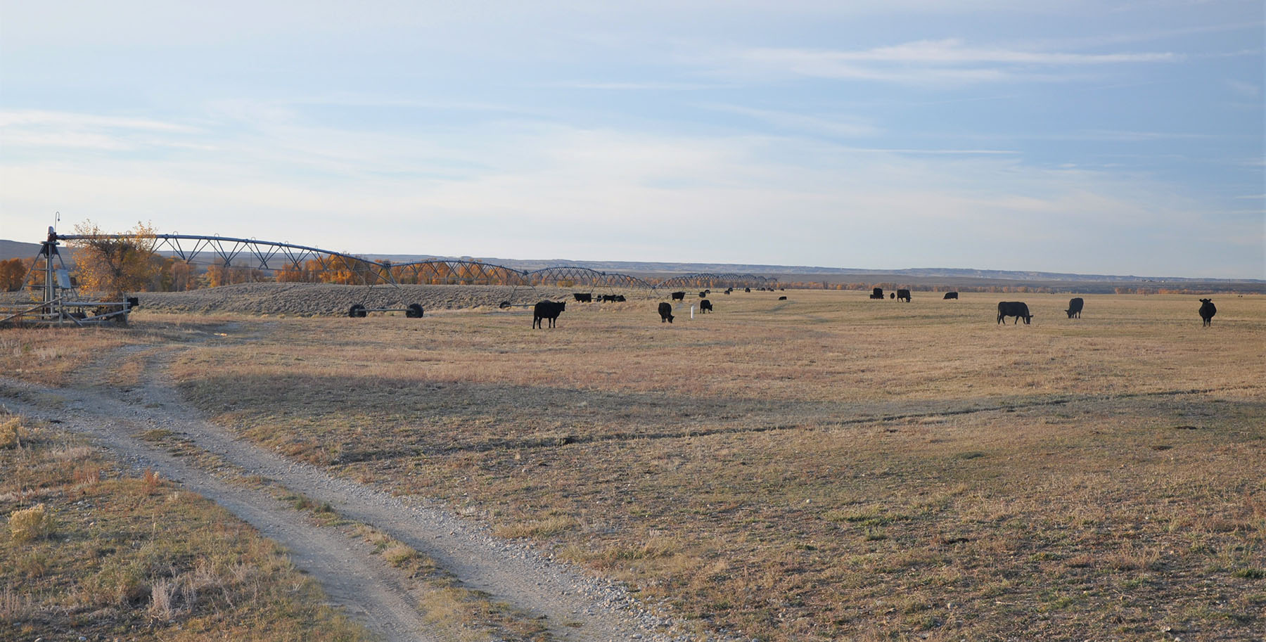 Lazy River Ranch property picture 14 of 80
