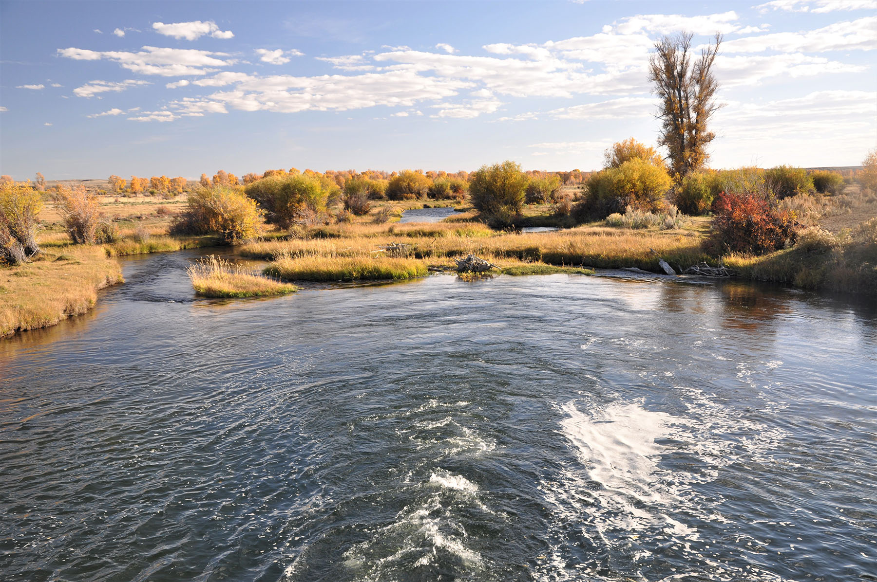 Lazy River Ranch property picture 57 of 80