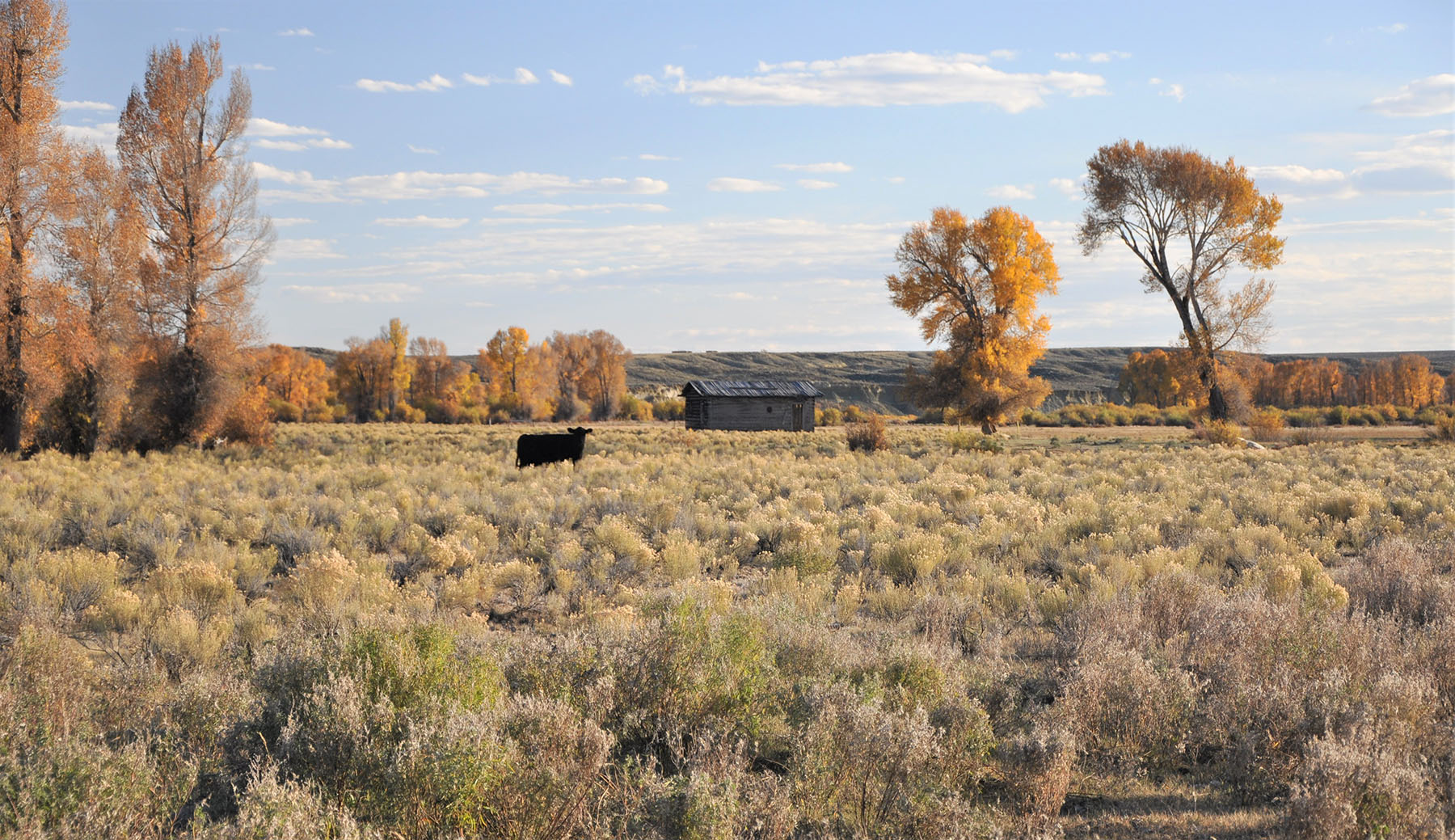 Lazy River Ranch property picture 66 of 80