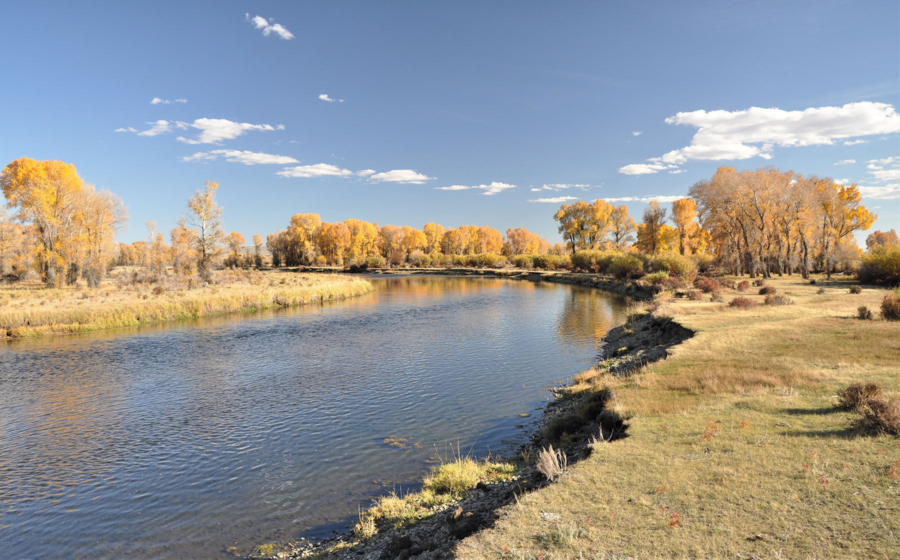 Lazy River Ranch property picture 68 of 80