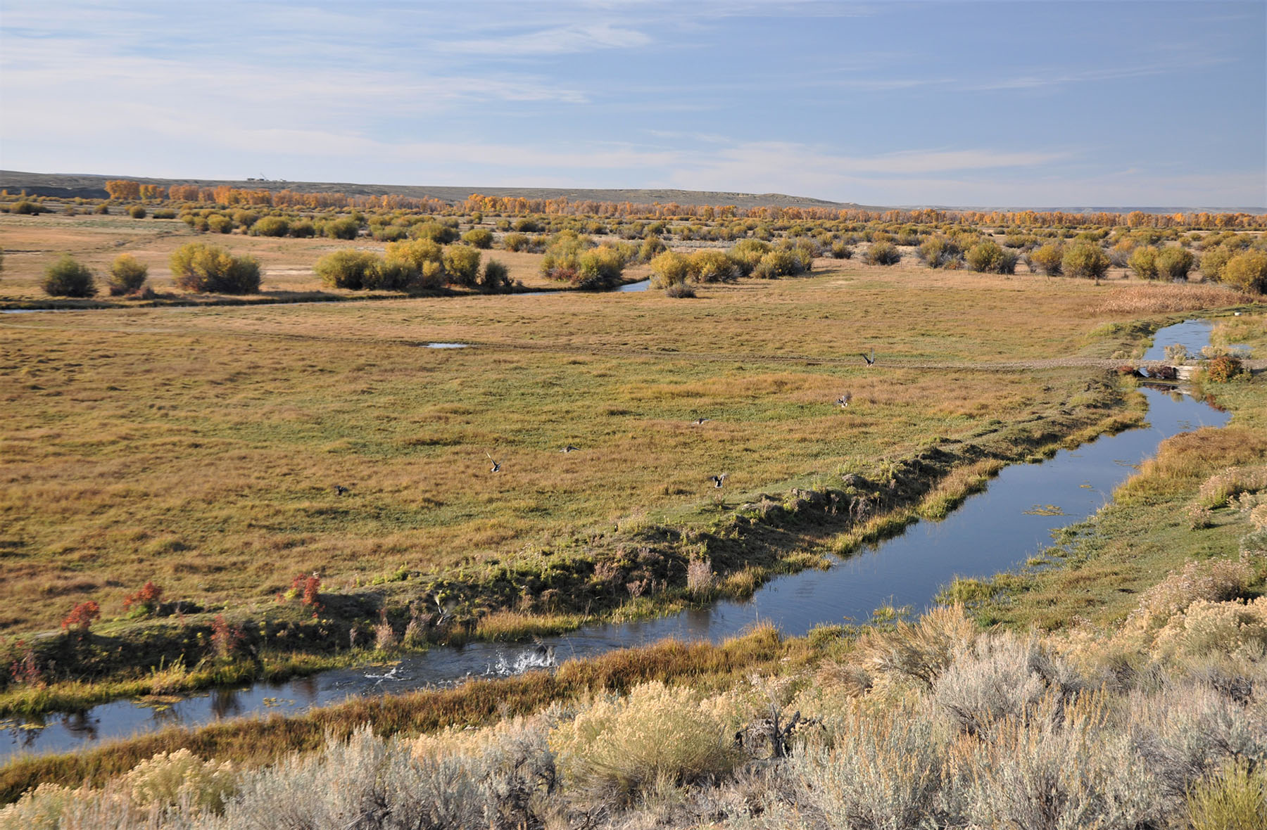 Lazy River Ranch property picture 74 of 80