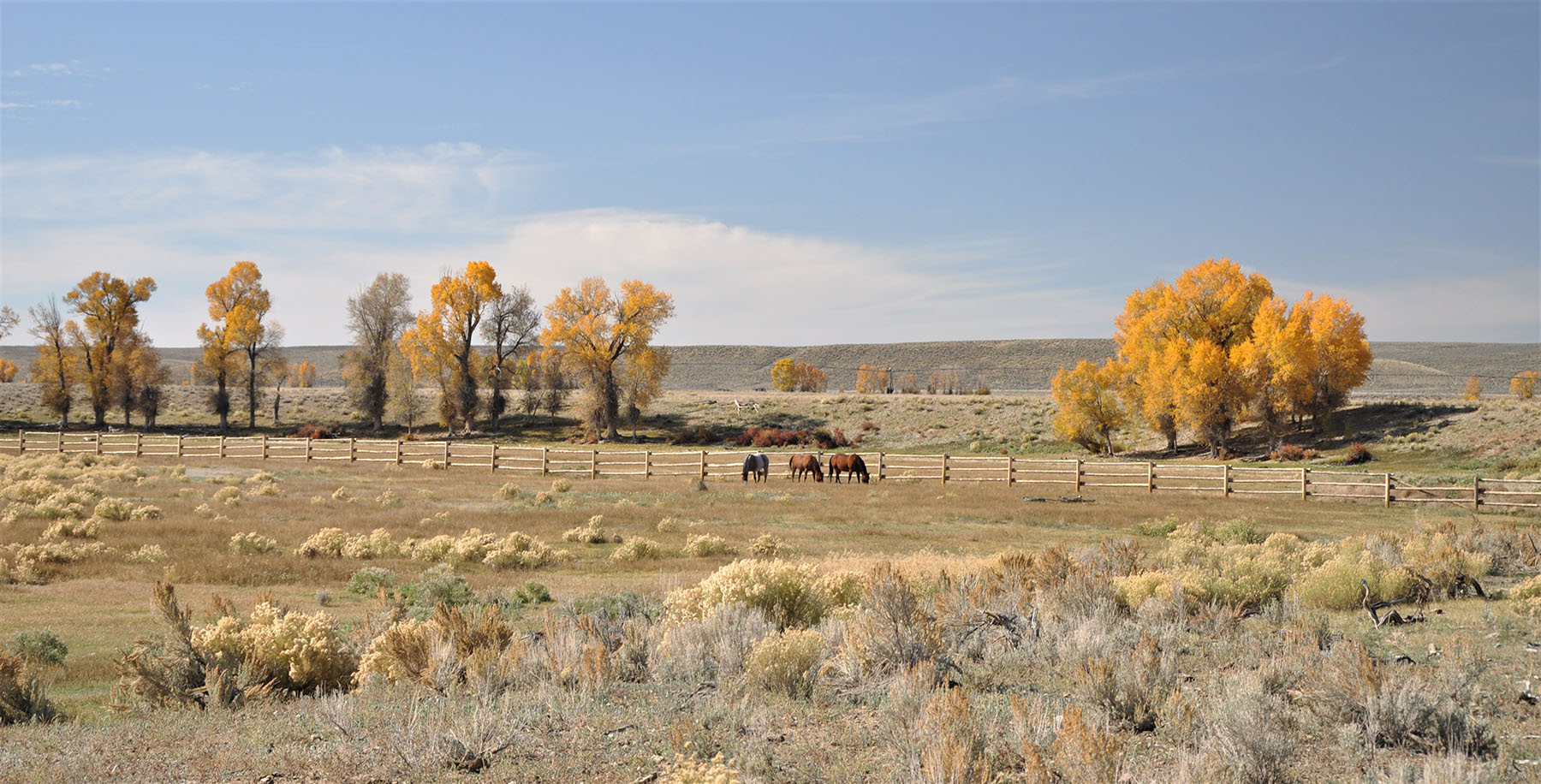 Lazy River Ranch property picture 77 of 80