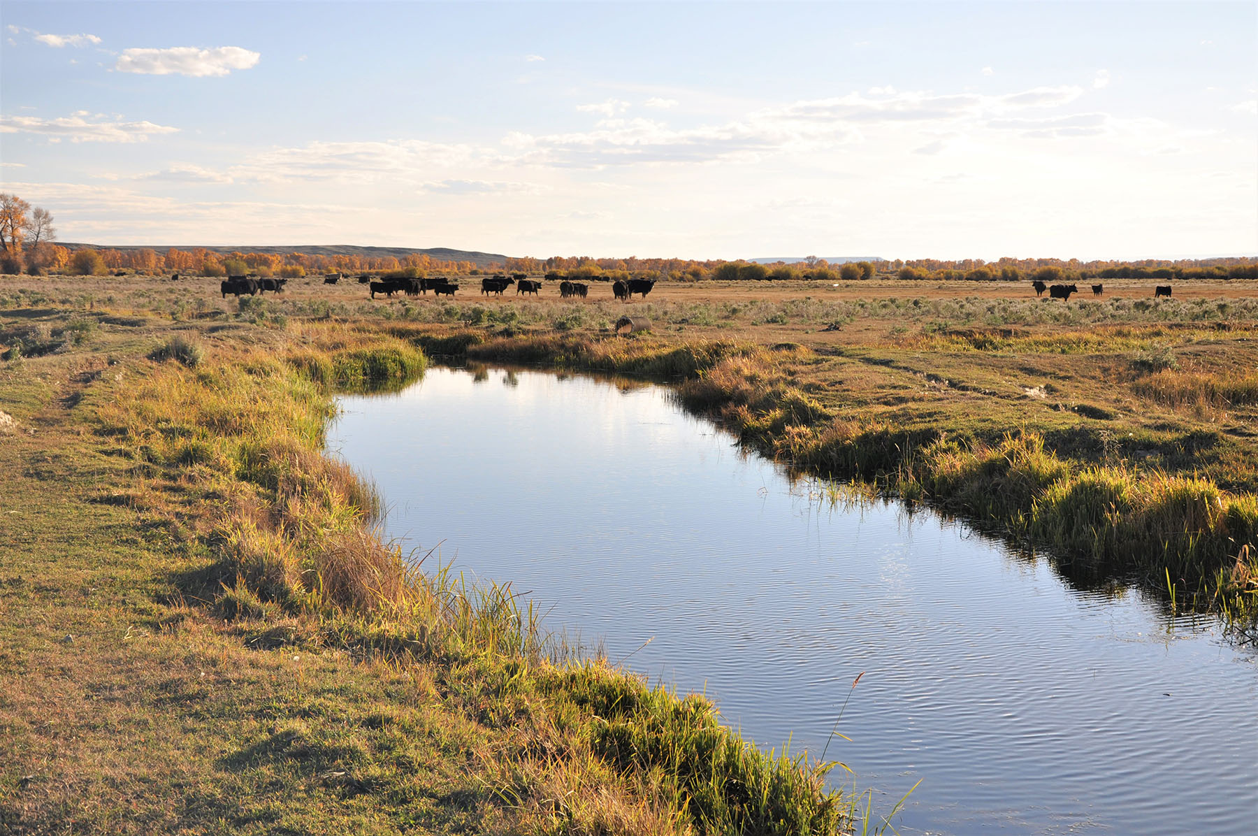 Lazy River Ranch property picture 58 of 80