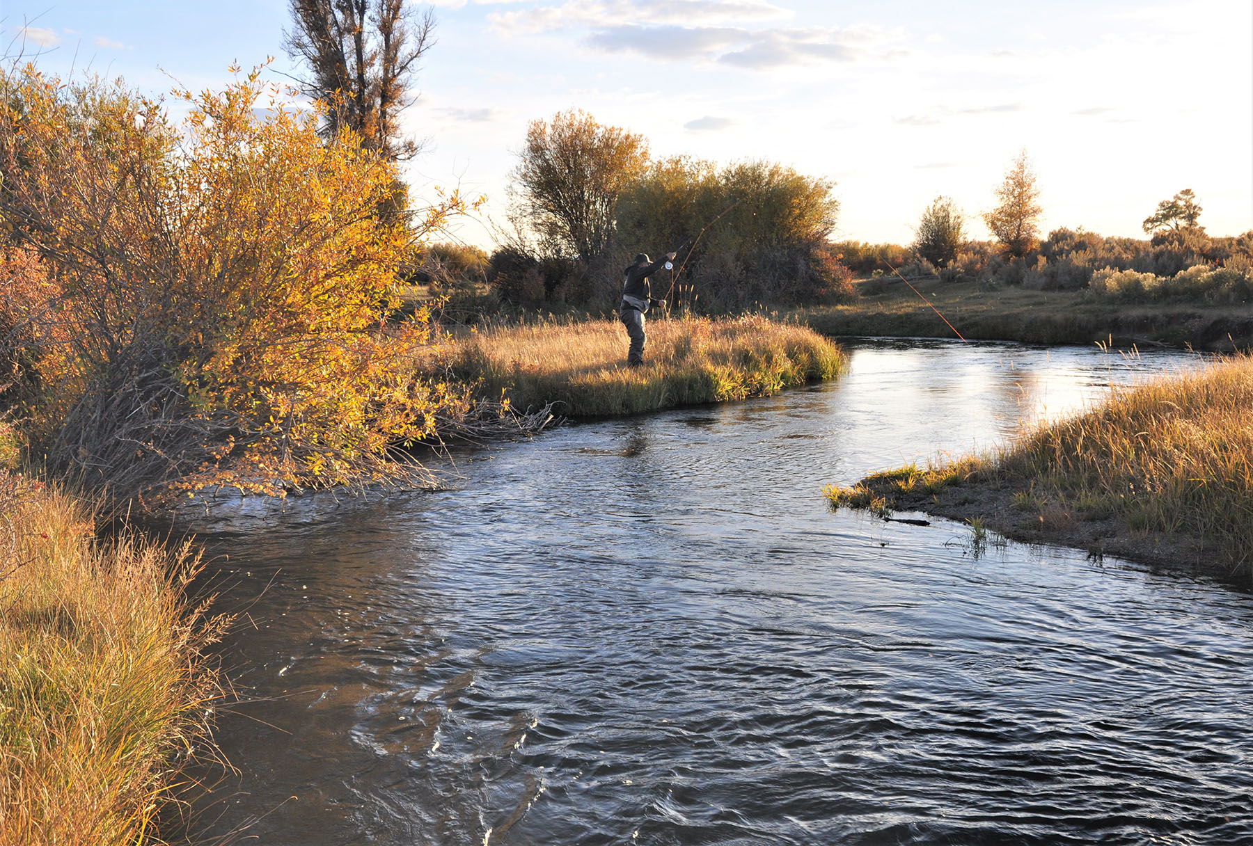 Lazy River Ranch property picture 72 of 80