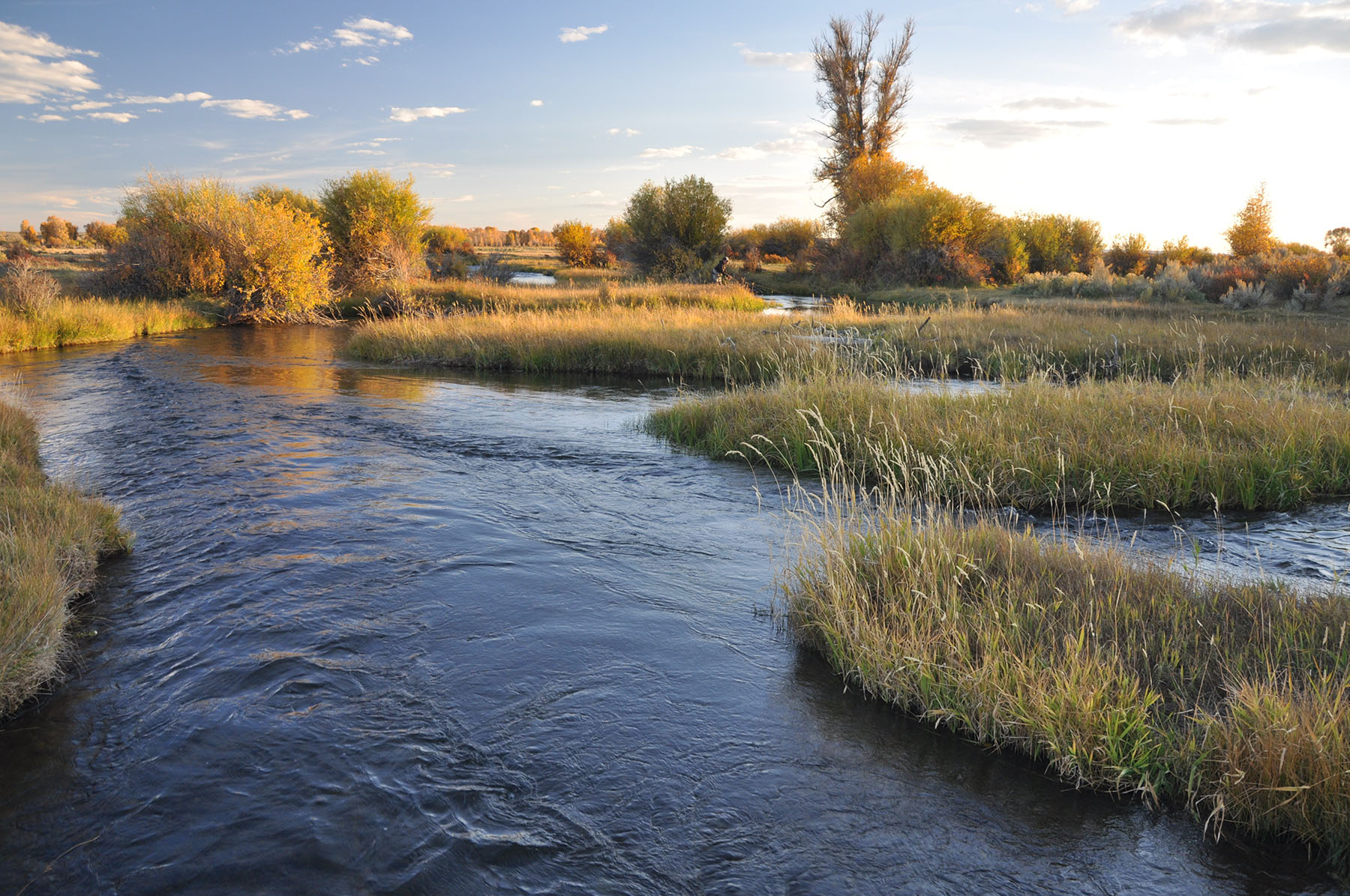 Lazy River Ranch property picture 45 of 80