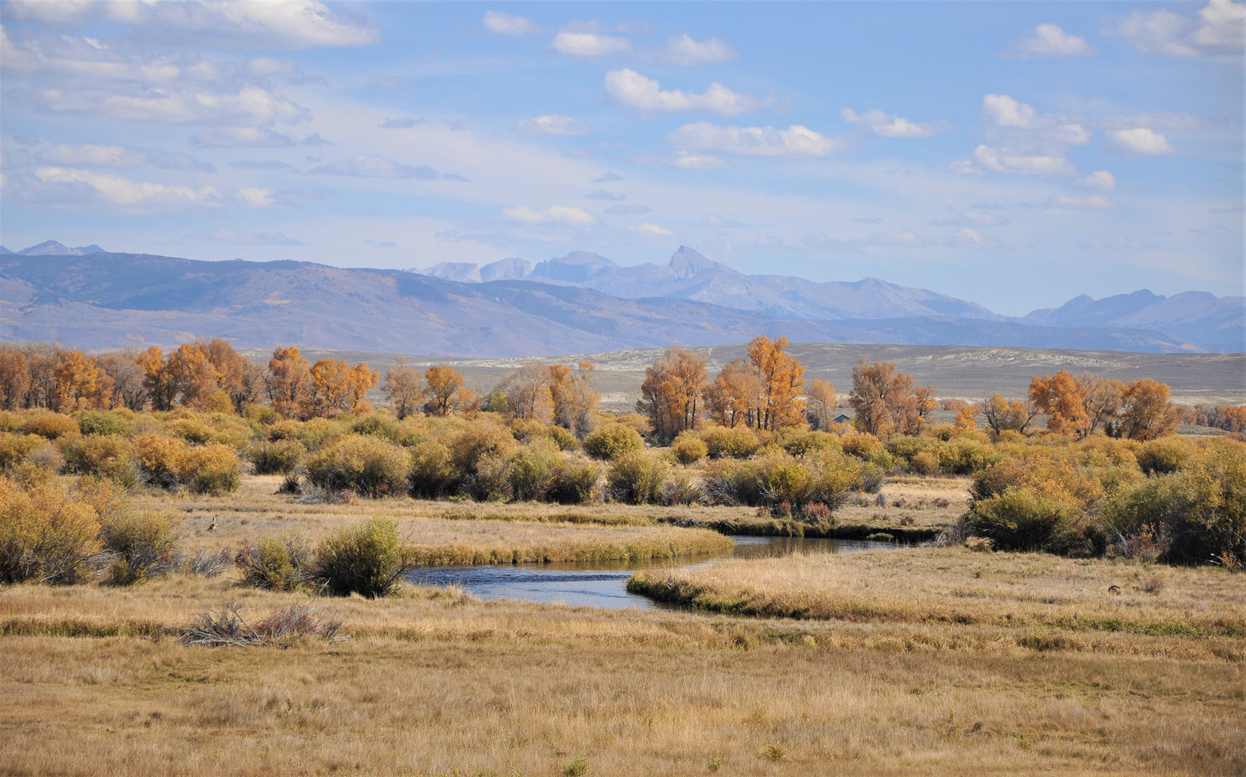 Lazy River Ranch property picture 13 of 80