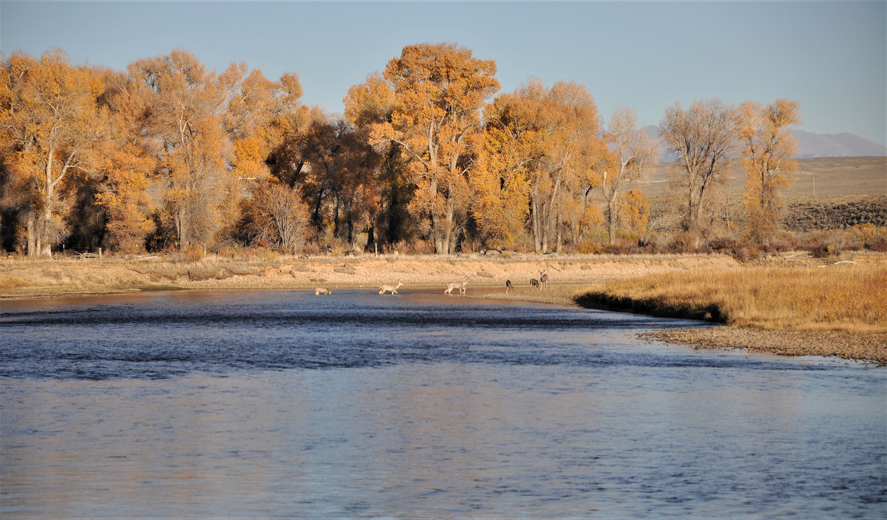 Lazy River Ranch property picture 69 of 80