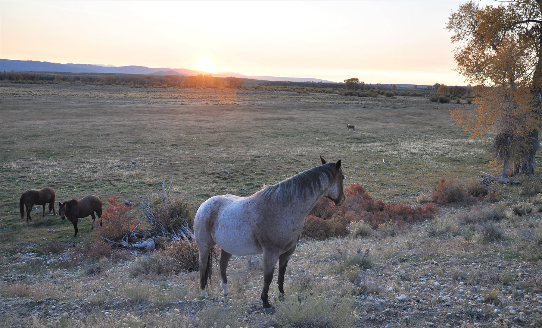 Lazy River Ranch property picture 65 of 80