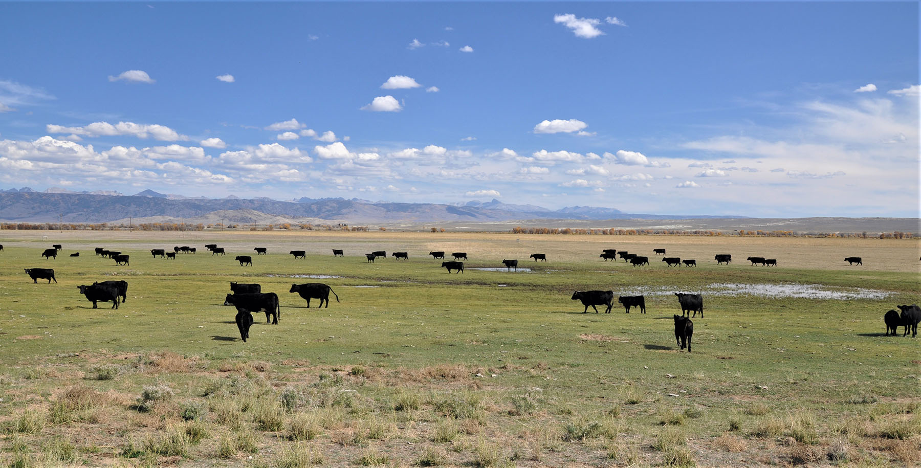 Lazy River Ranch property picture 3 of 80