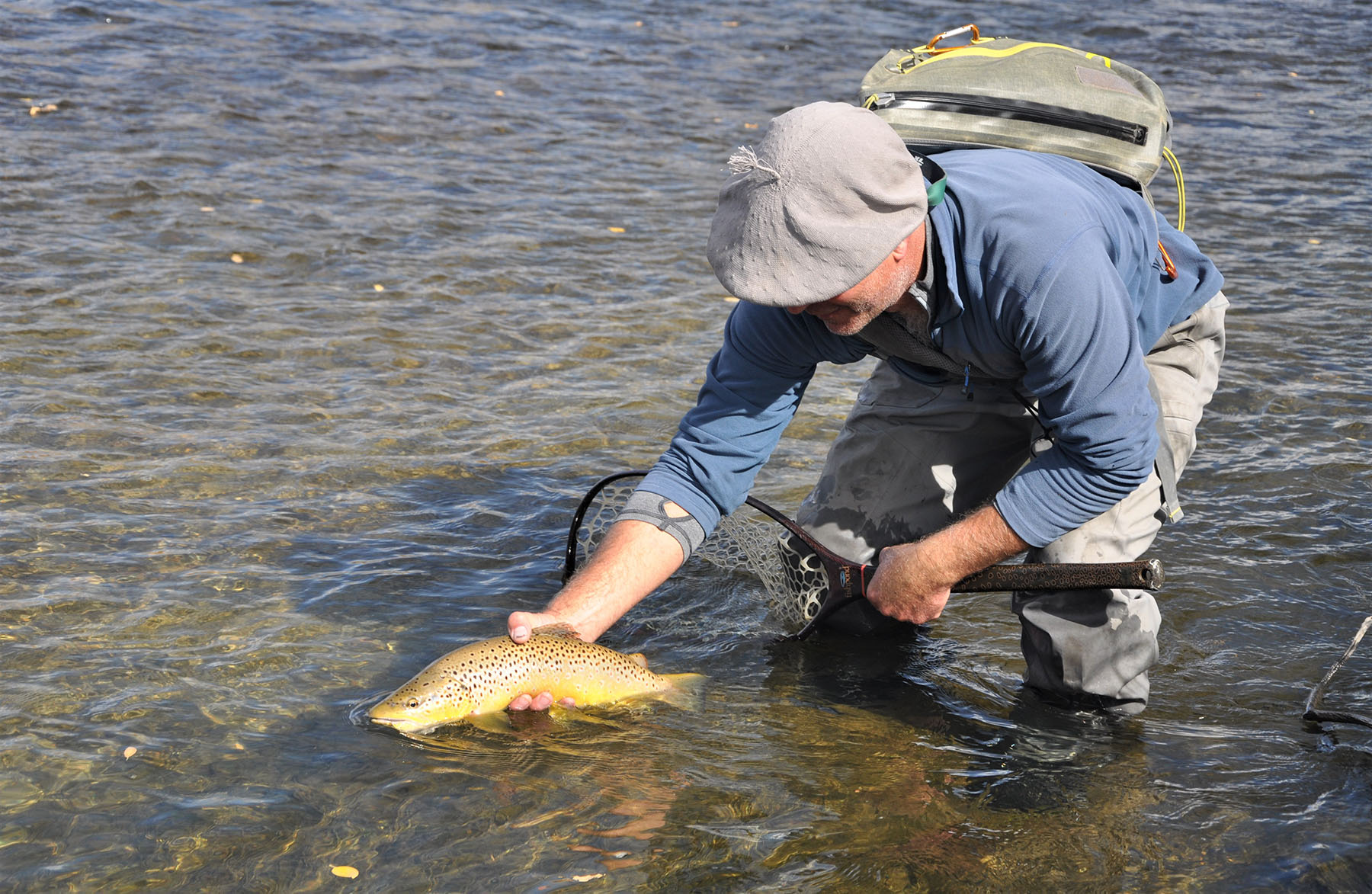 Lazy River Ranch property picture 7 of 80