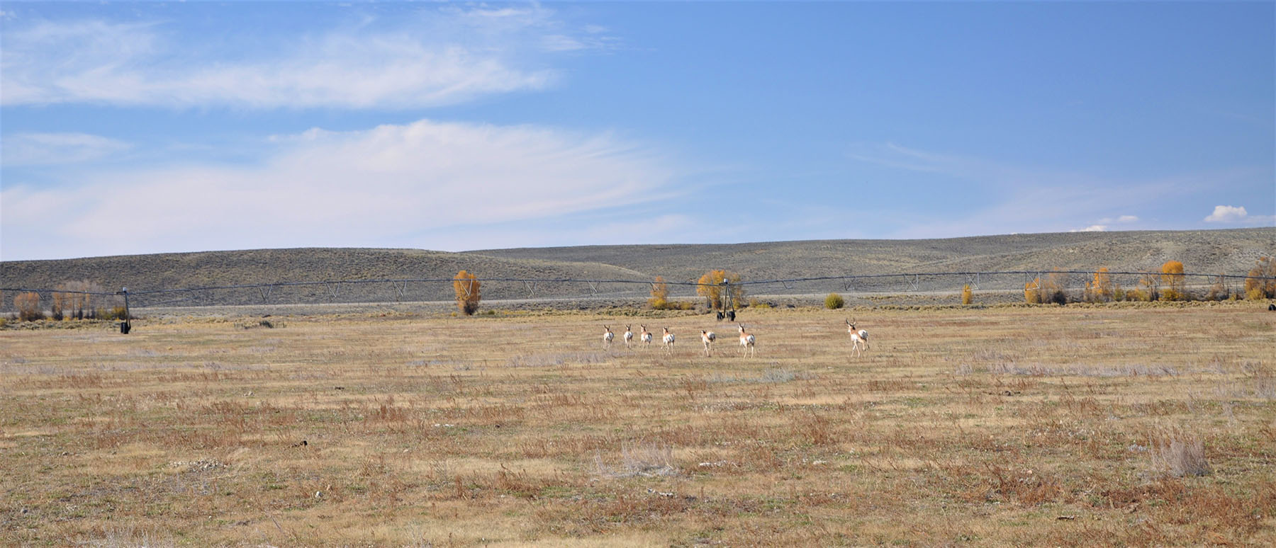 Lazy River Ranch property picture 47 of 80