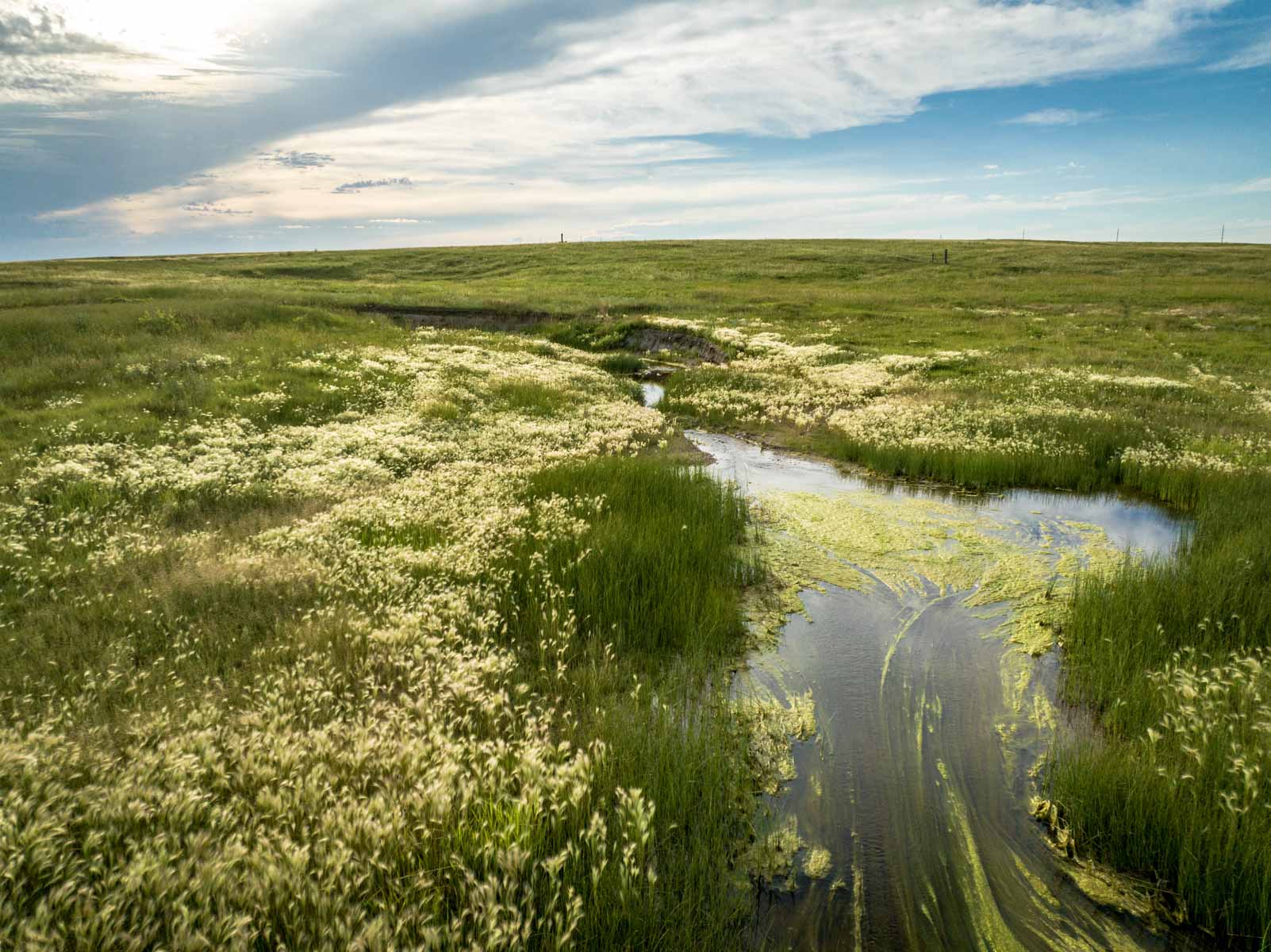 Hansen Ranch property picture 77 of 80