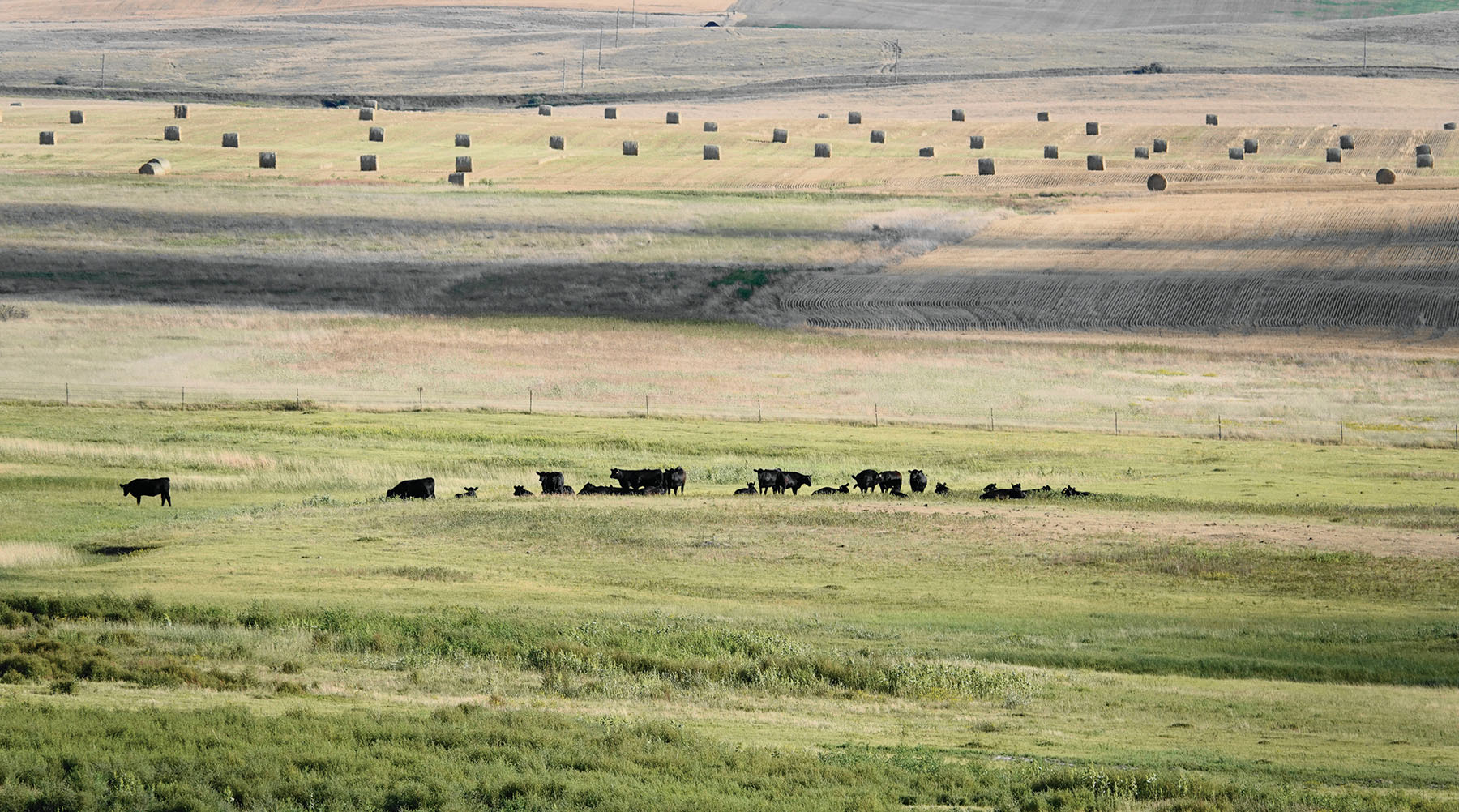 Hansen Ranch property picture 48 of 80