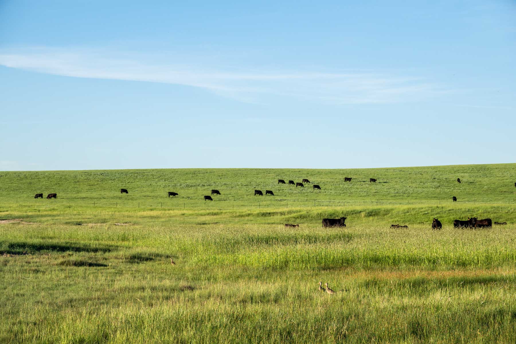 Hansen Ranch property picture 58 of 80