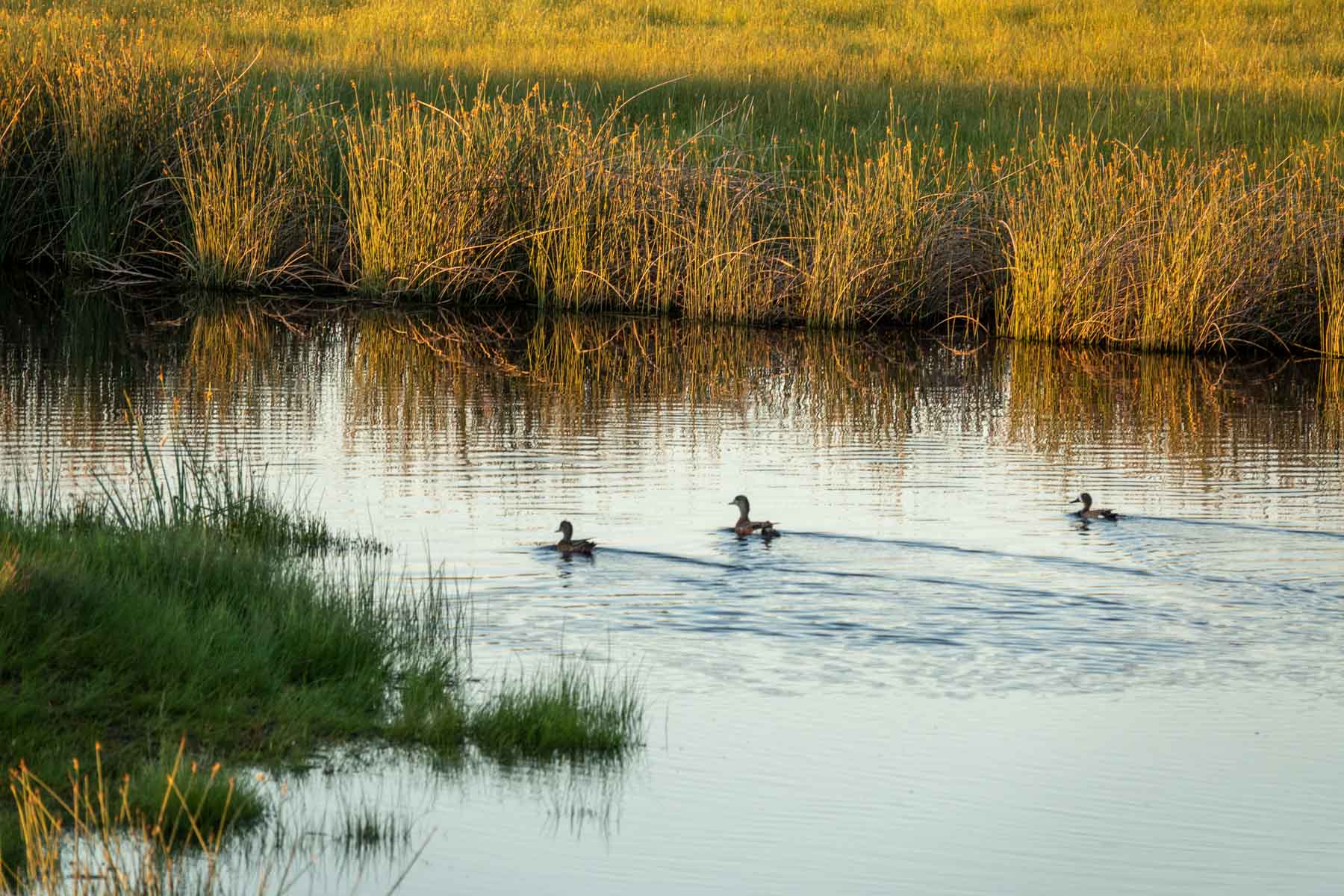 Hansen Ranch property picture 9 of 80