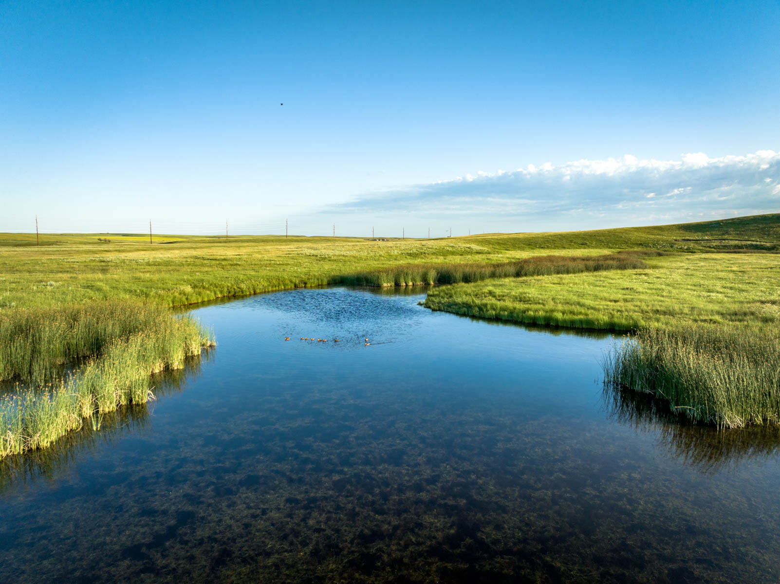 Hansen Ranch property picture 55 of 80