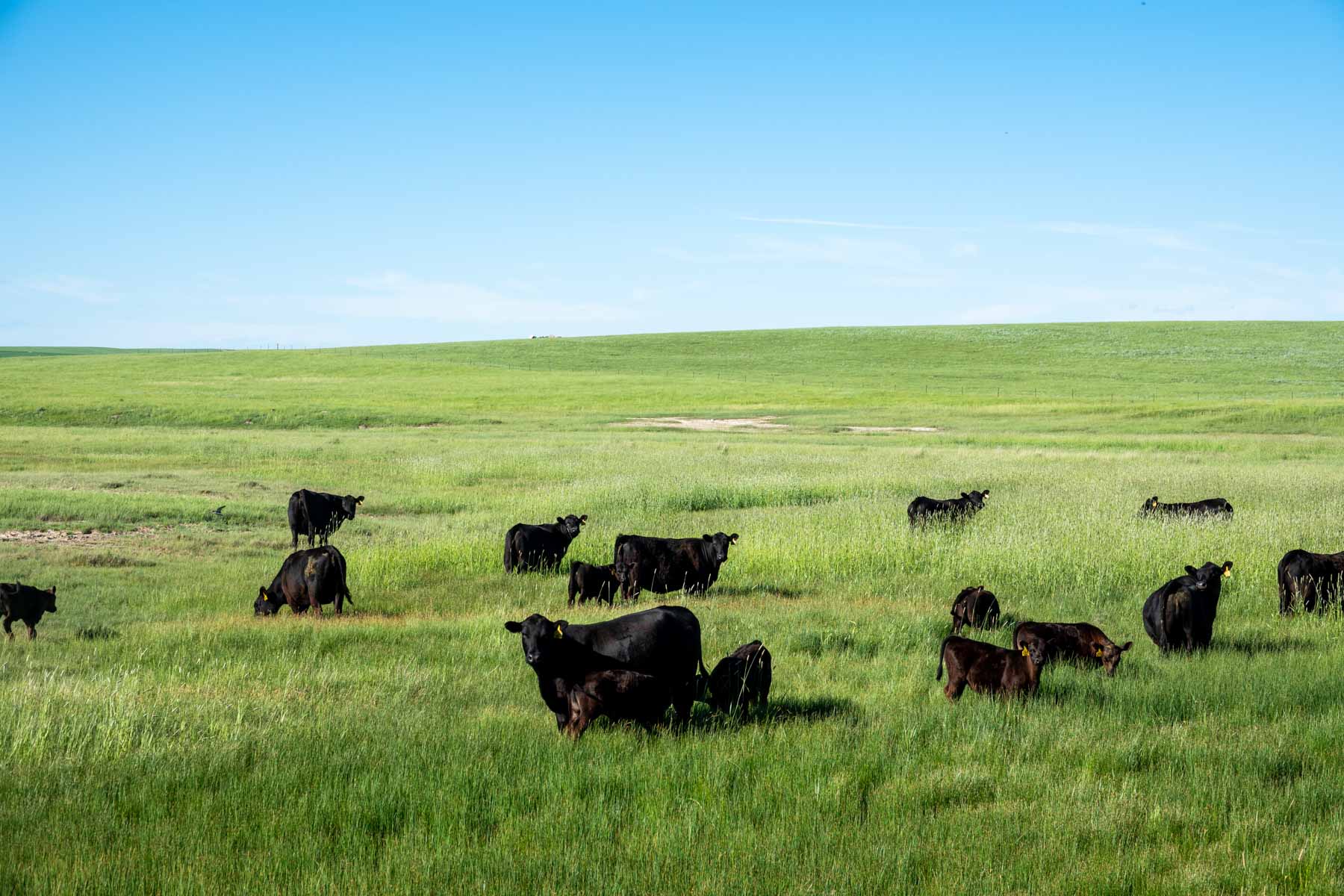 Hansen Ranch property picture 3 of 80