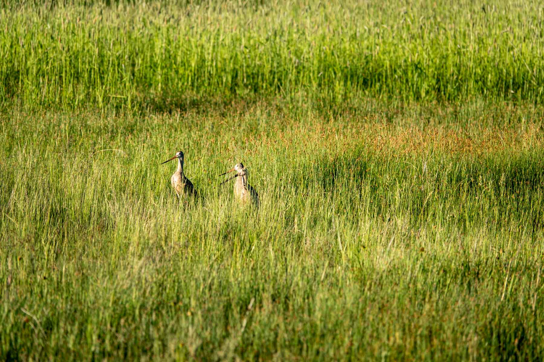 Hansen Ranch property picture 12 of 80