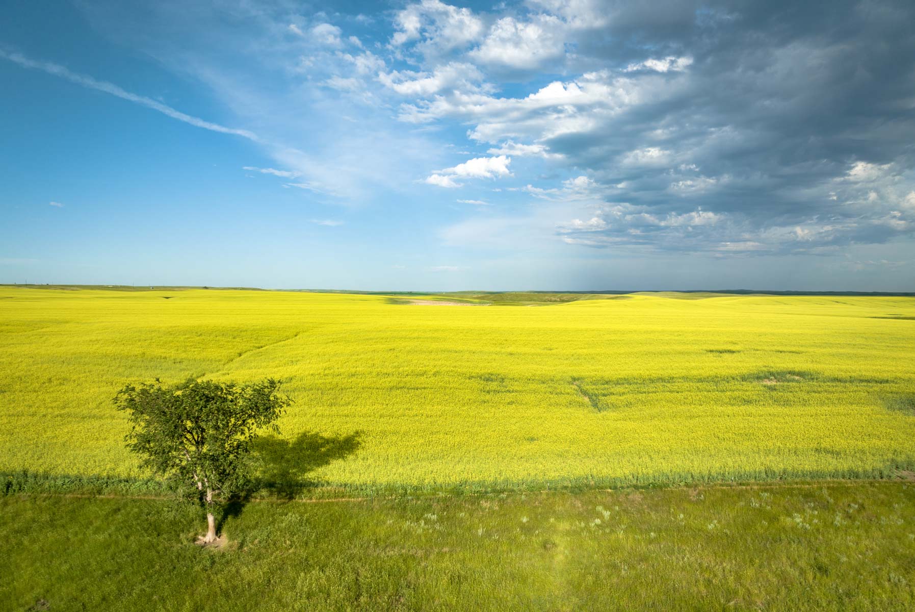 Hansen Ranch property picture 47 of 80